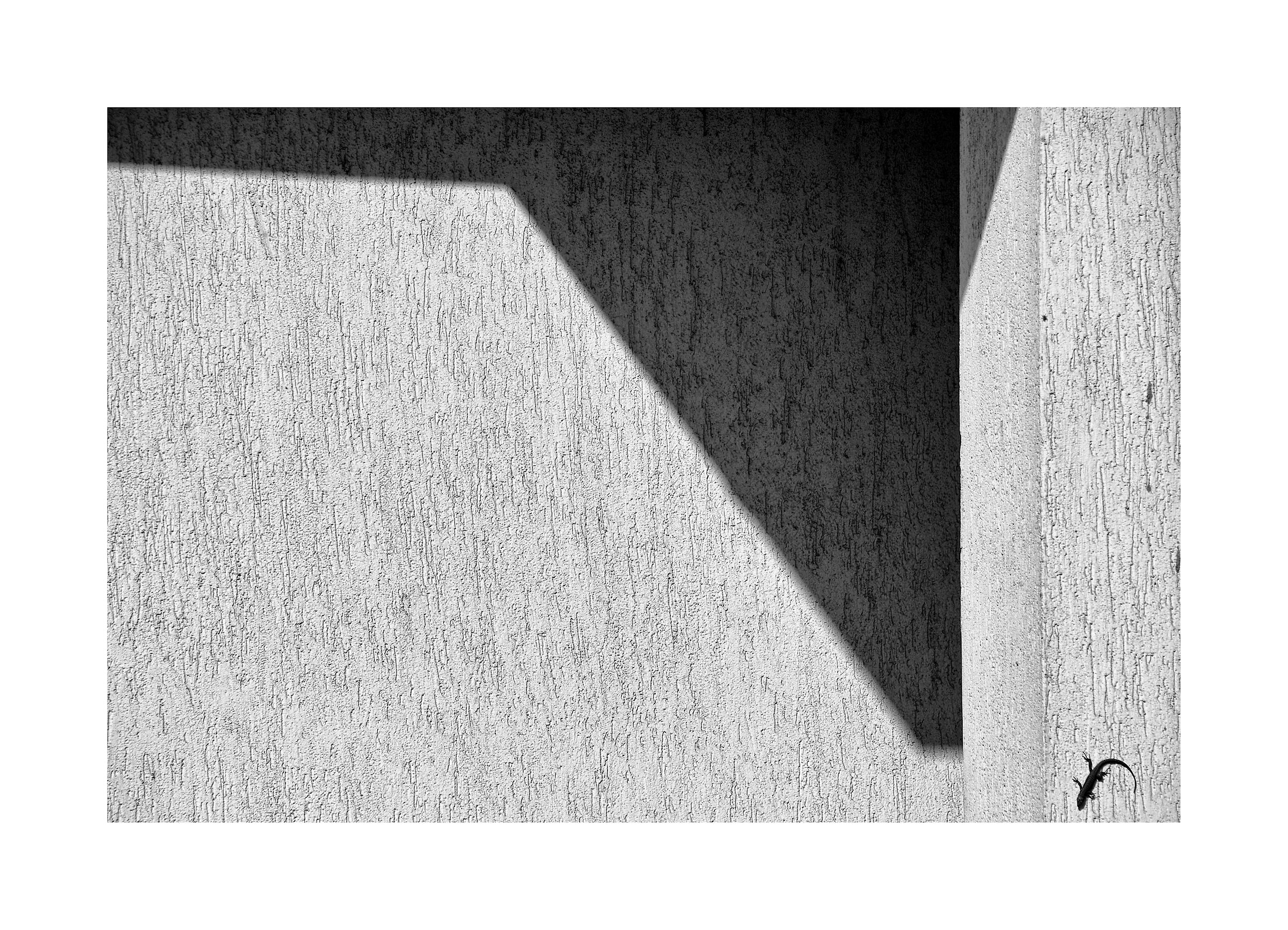 Astratto con lucertola