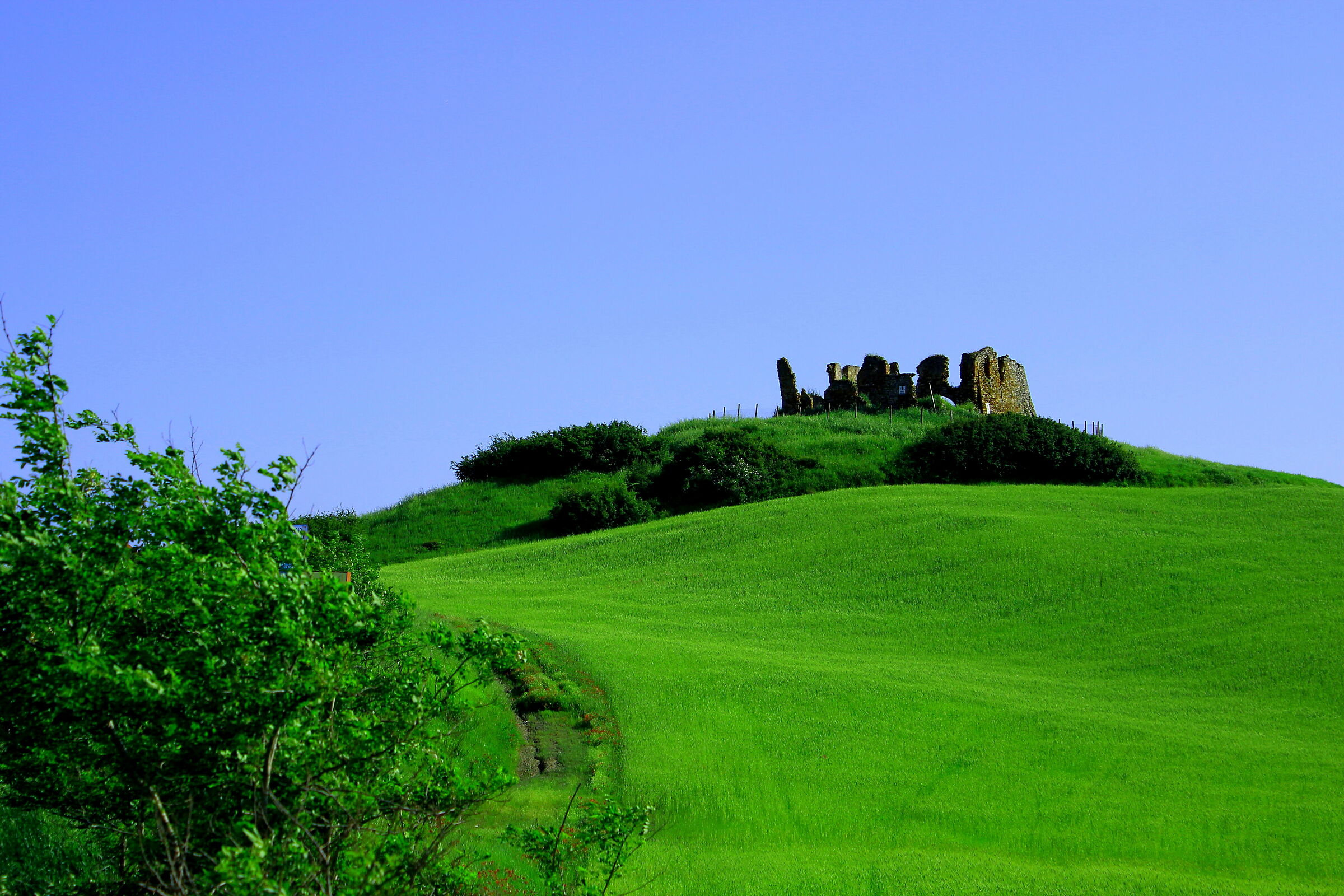 Campagna toscana nei pressi di Volterra
