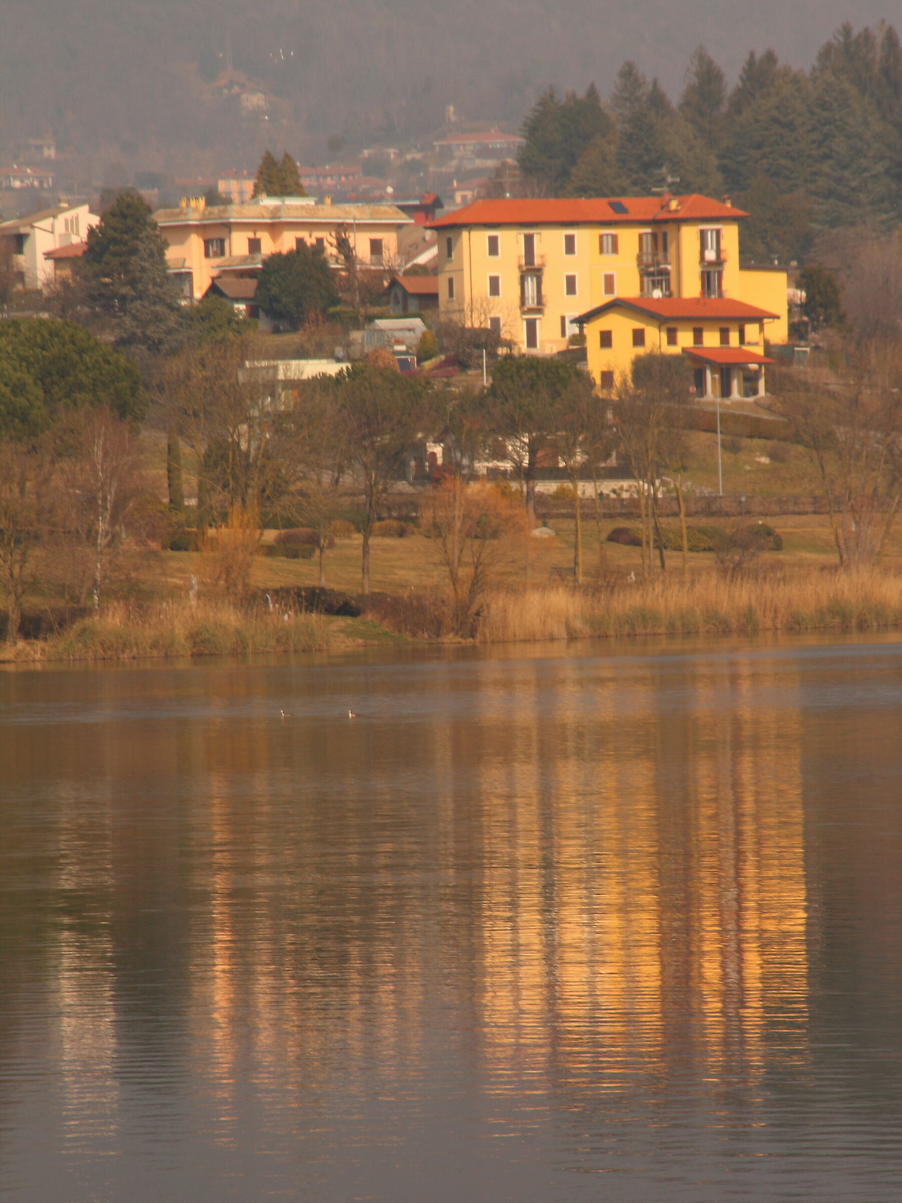 Montorfano lake 1