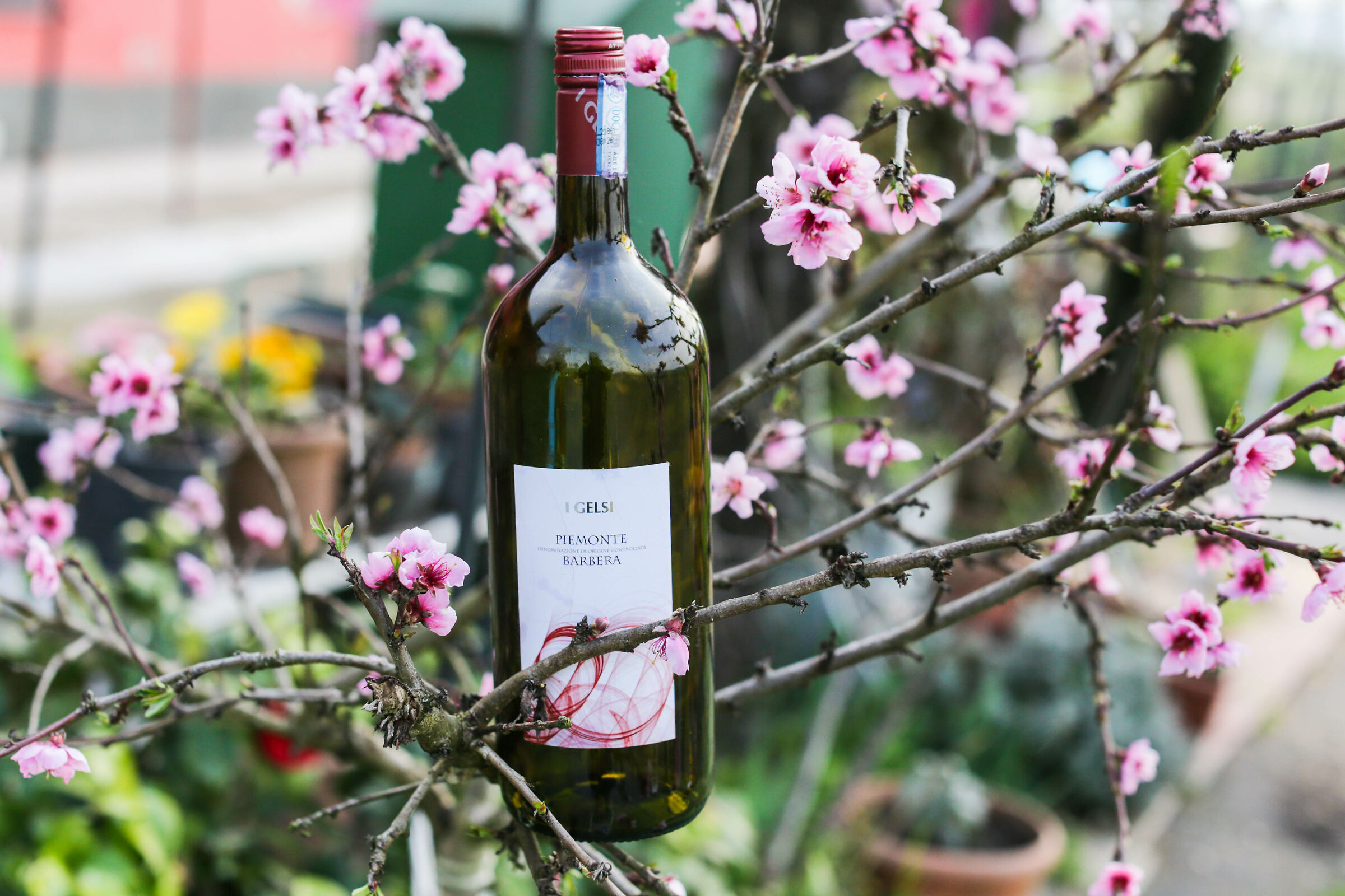 Restare a casa non mi pesa