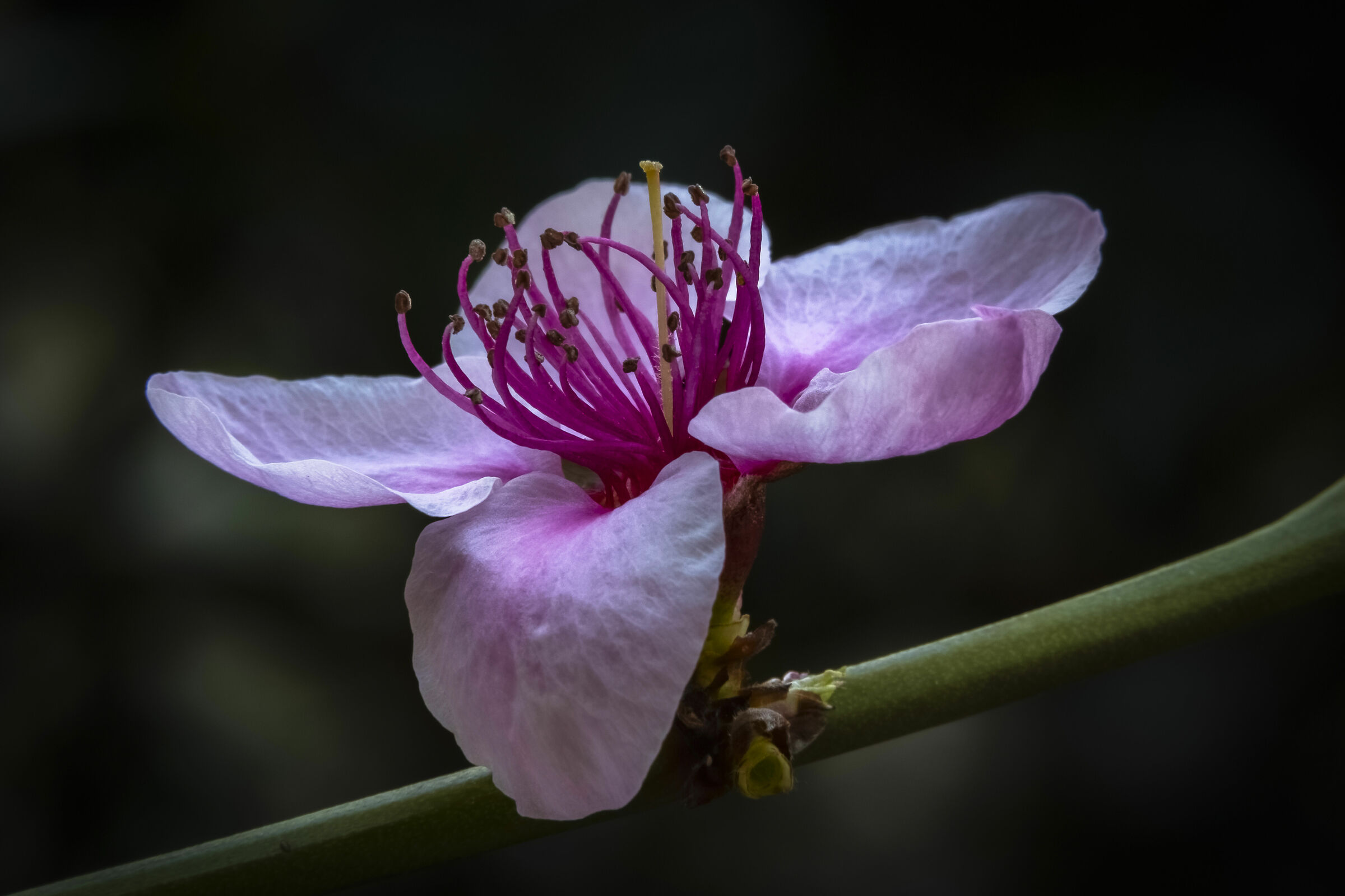 Prove macro in tempo di crisi
