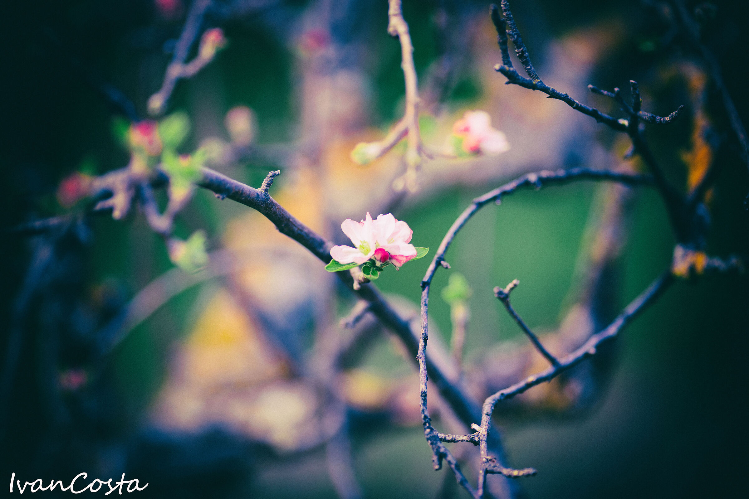 Quando arriva l'estate?