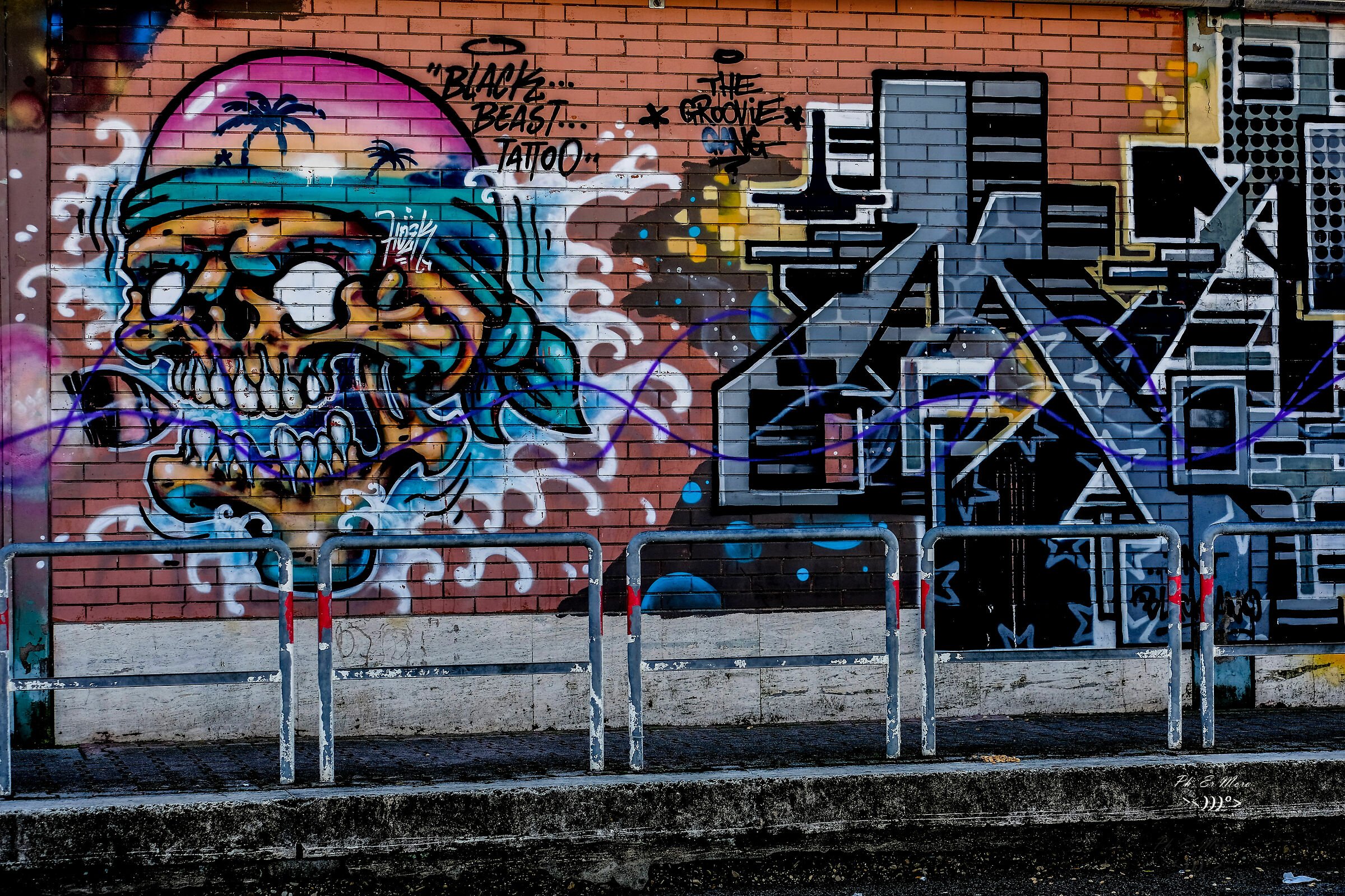 murales coronavision