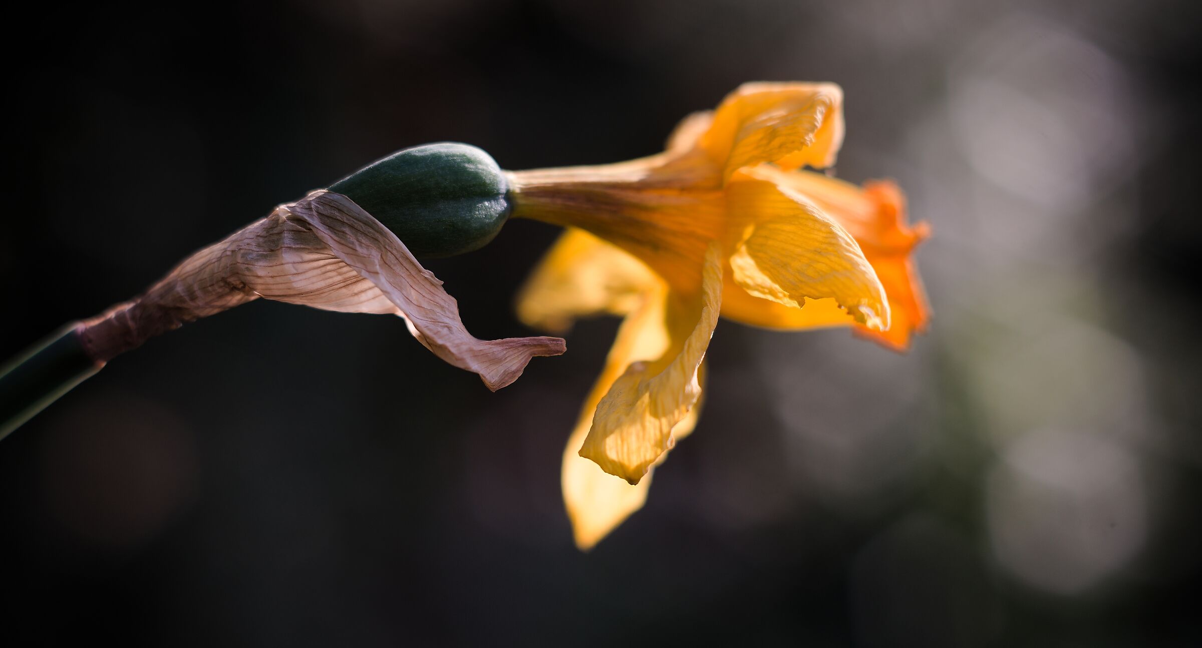 Primavera... già finita?