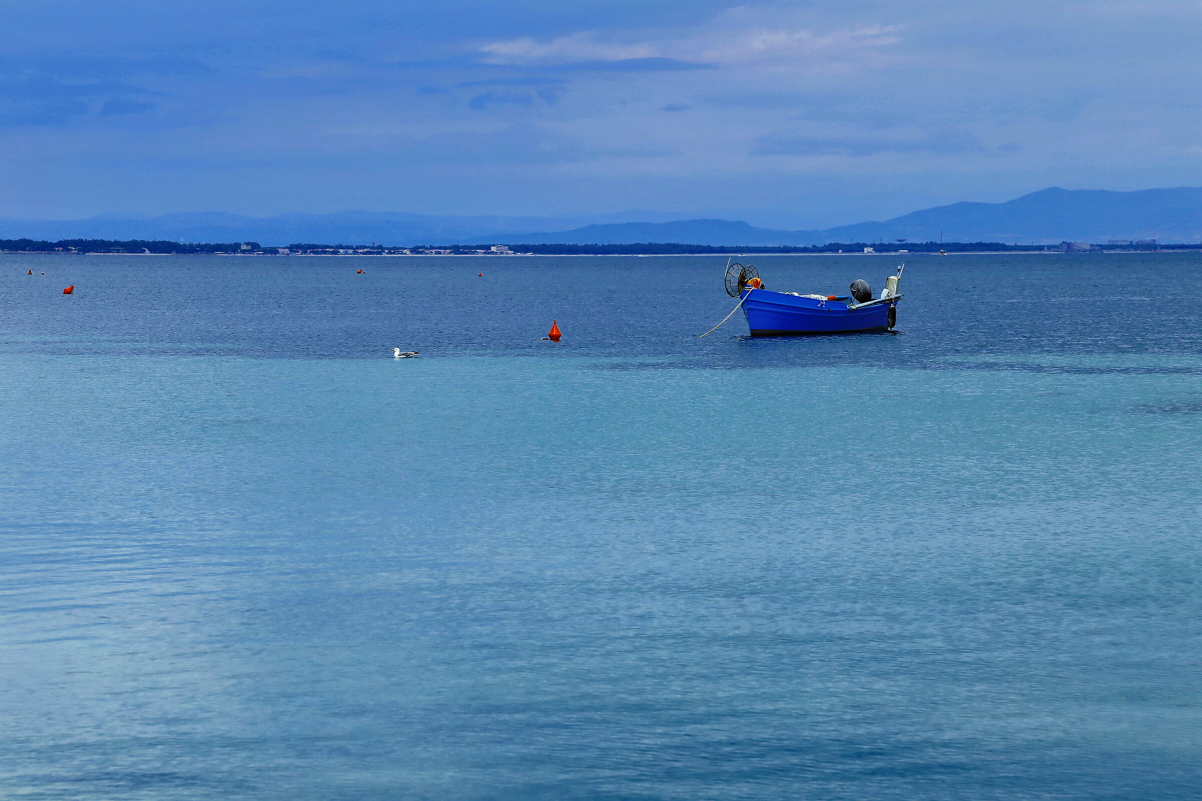Azzurro e blu... la tranquillità.