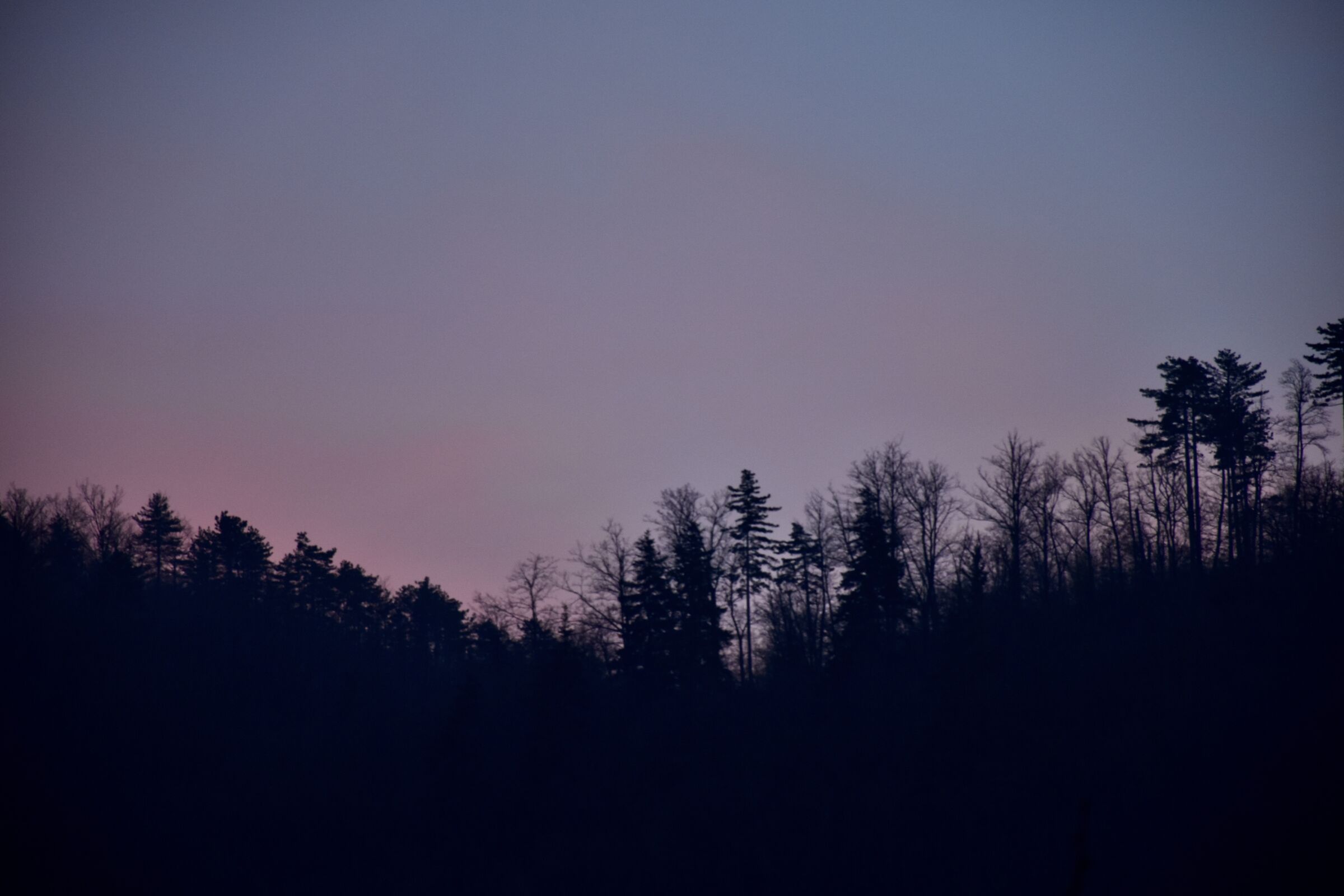 The colors of the sunset