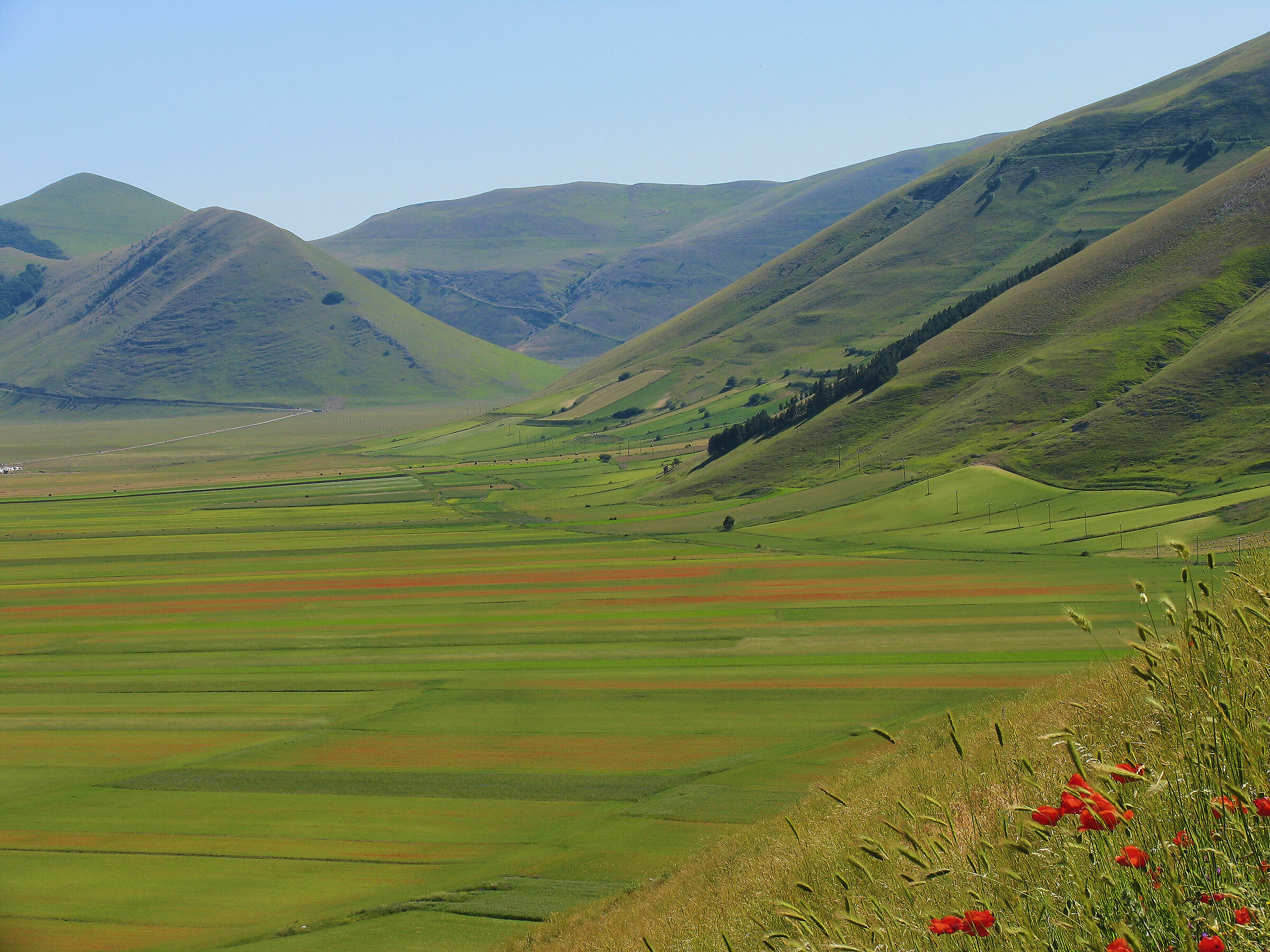 Castelluccio 2012: and the shipwreck is sweet to me...