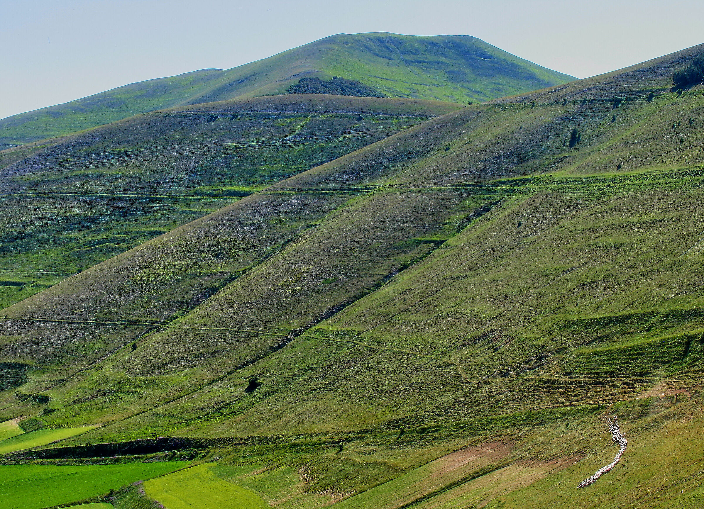 Castelluccio 2012: the soft comma