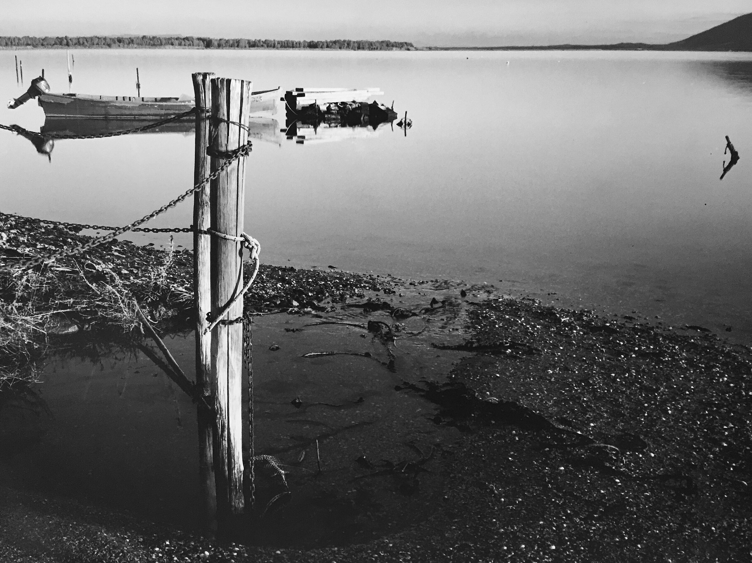 Silent charm of a wasteland