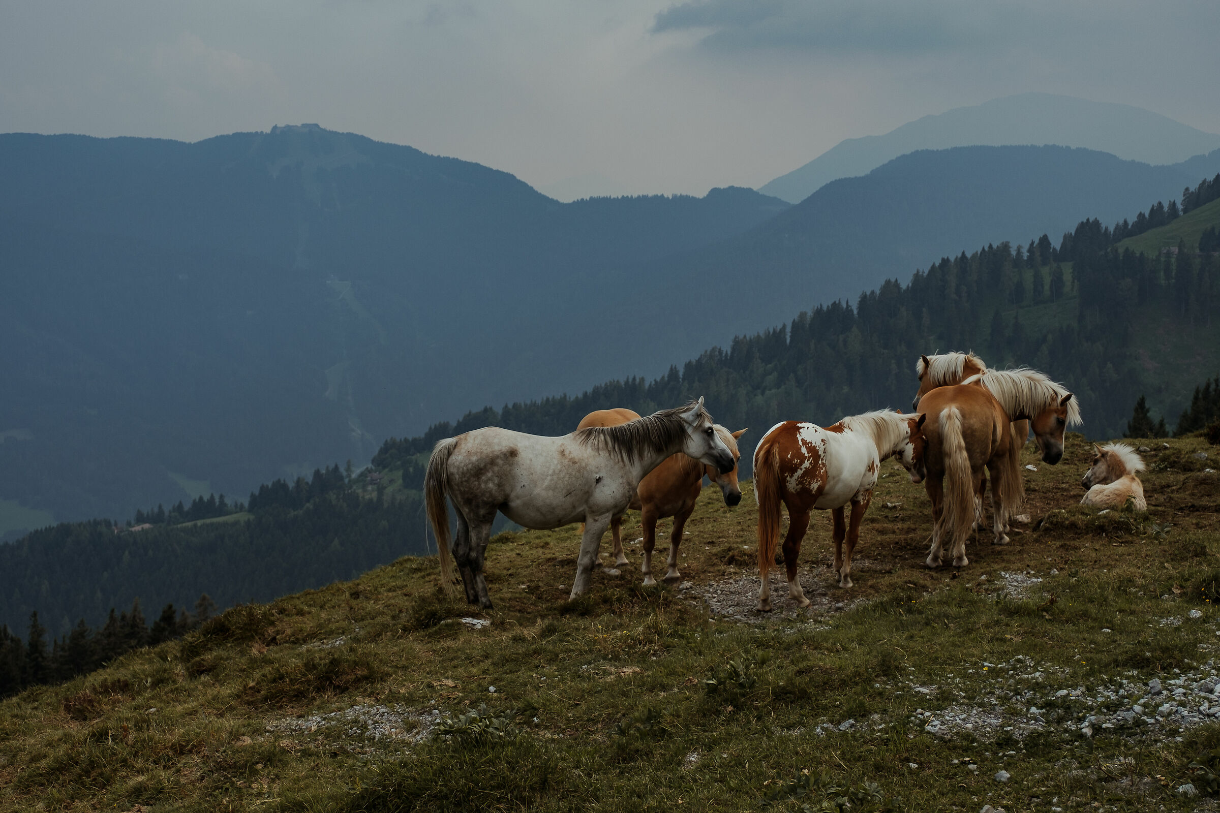 Aria di libertà - Rifugio San Fermo, Borno