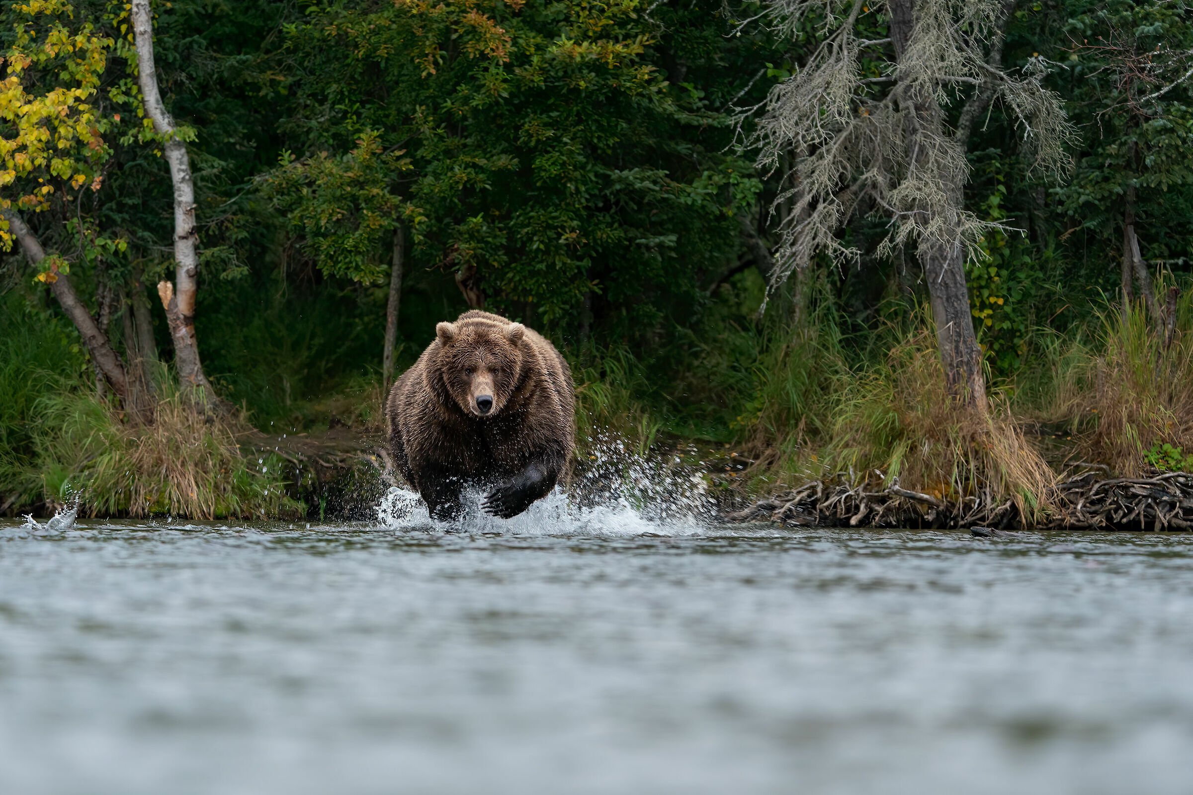 Oh oh forse ho un problema....