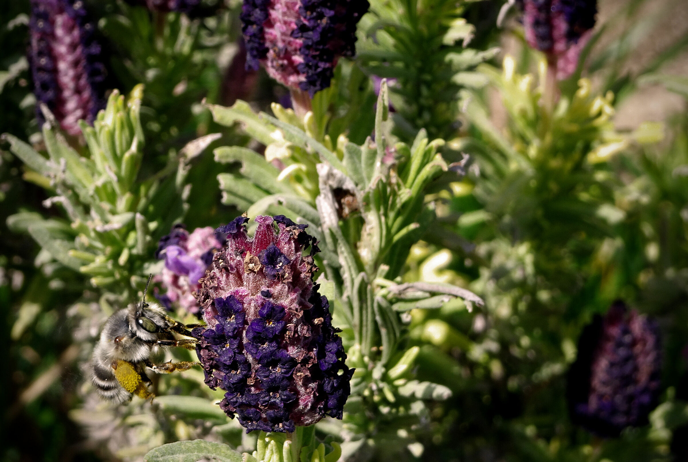 si esce solo per necessità