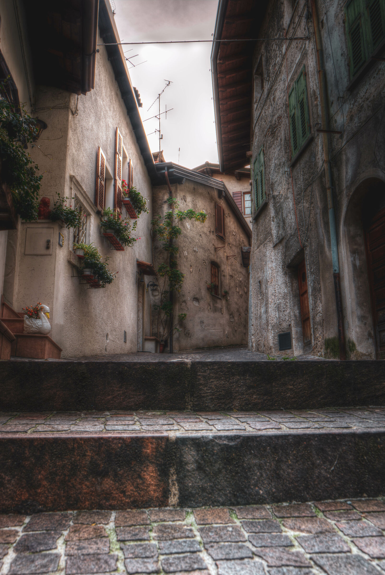 Sometimes fairy tales are true