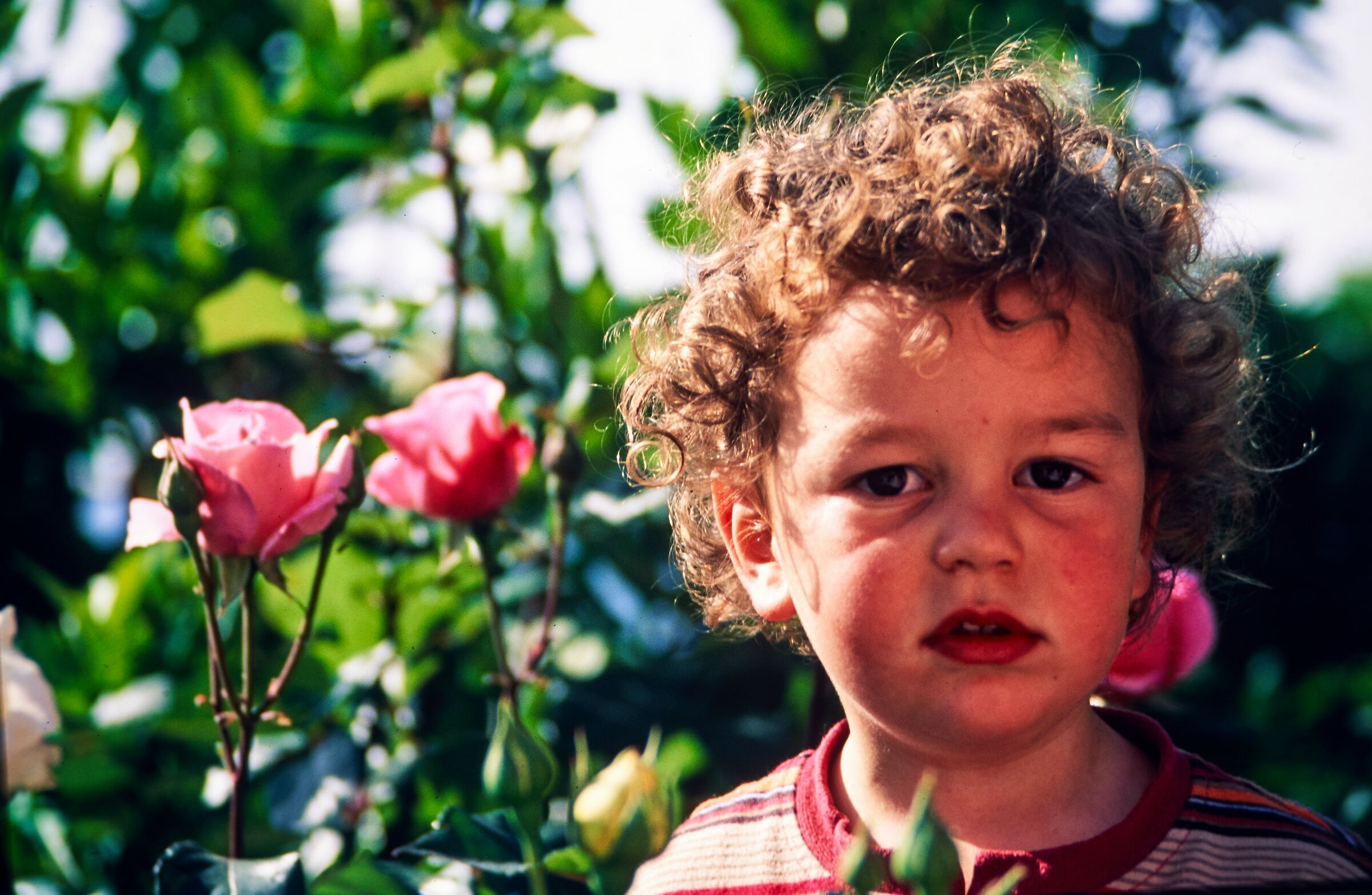 Spulciando ai tempi del Coronavirus