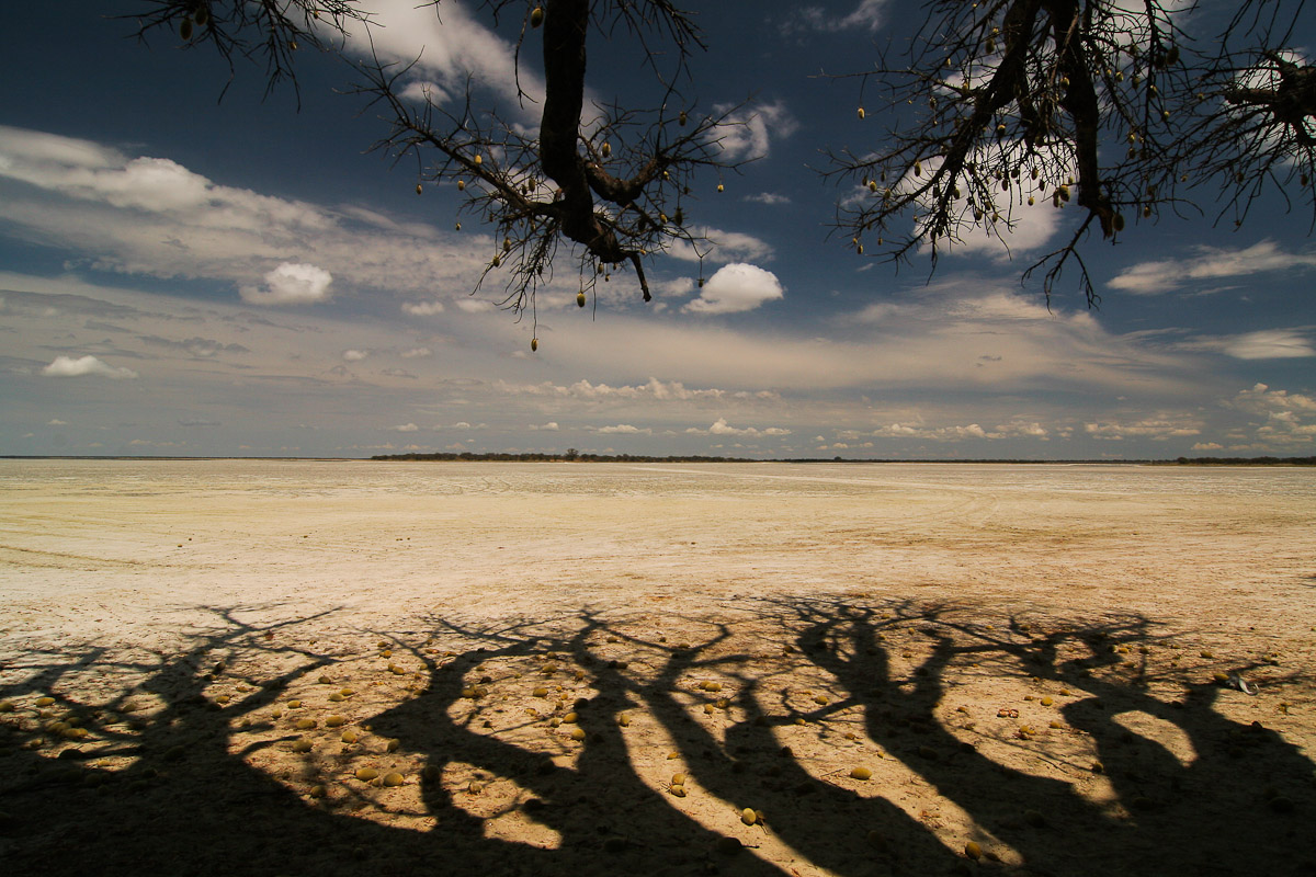 Baines Baobabs - Botswana