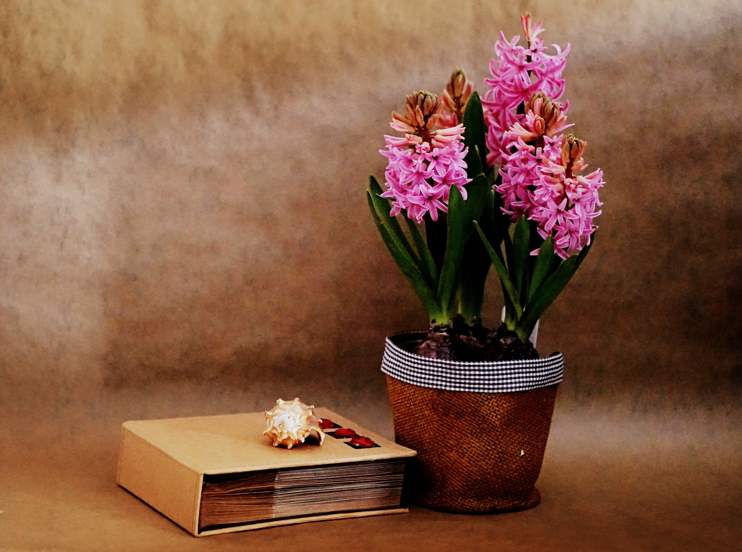 Flowers and memories