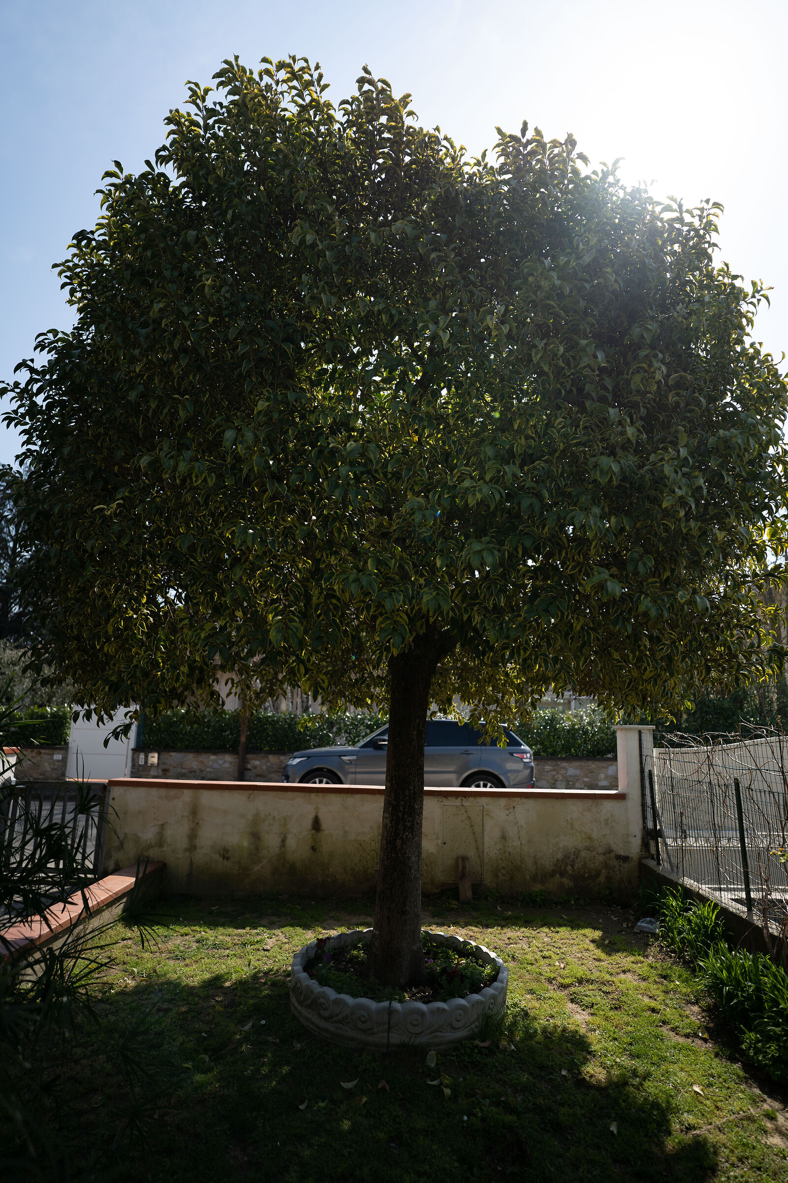 sony 20mm f1.8 g - sel20f18g - f1.8