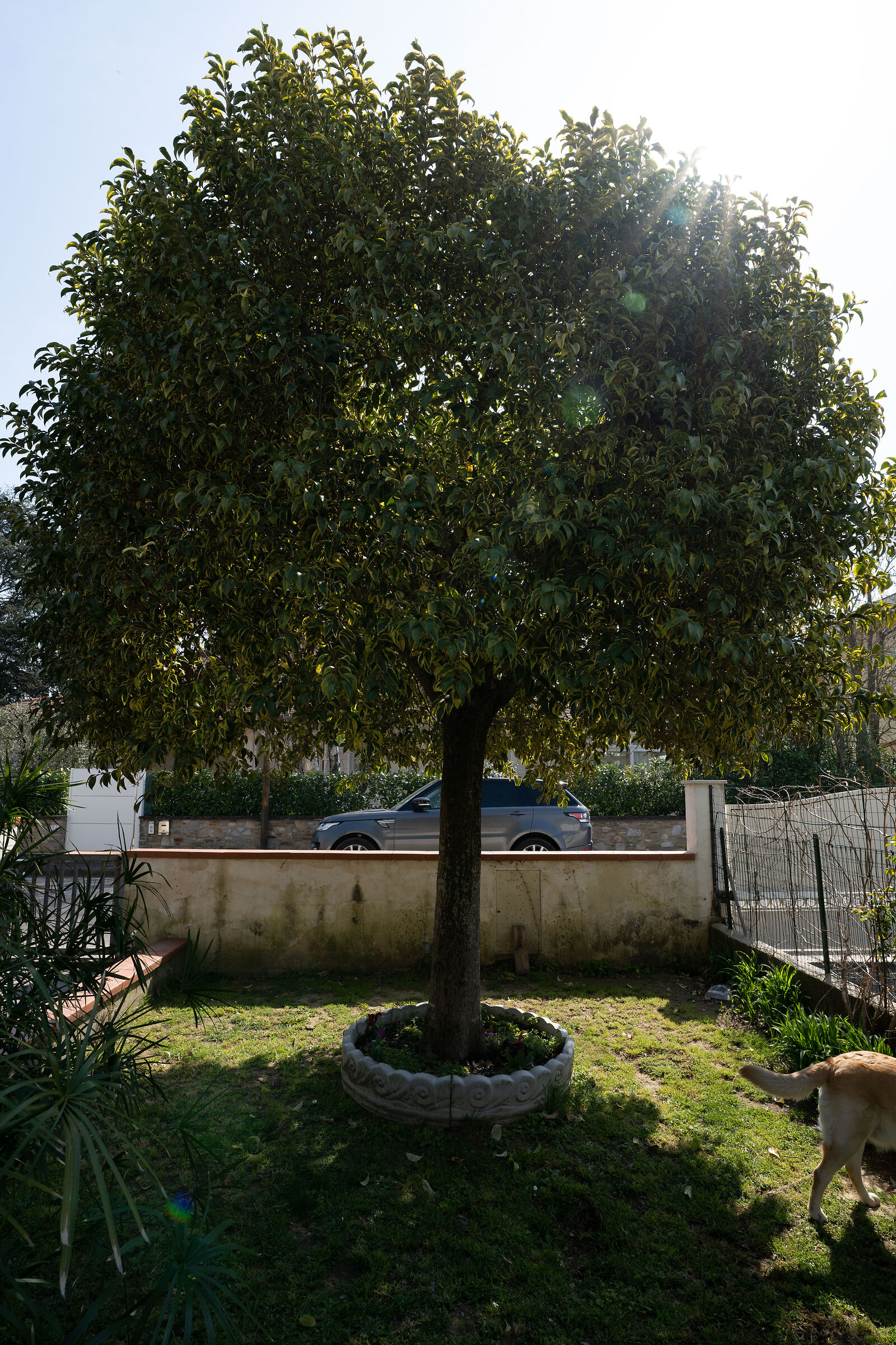 sony 20mm f1.8 g - sel20f18g - f9.0