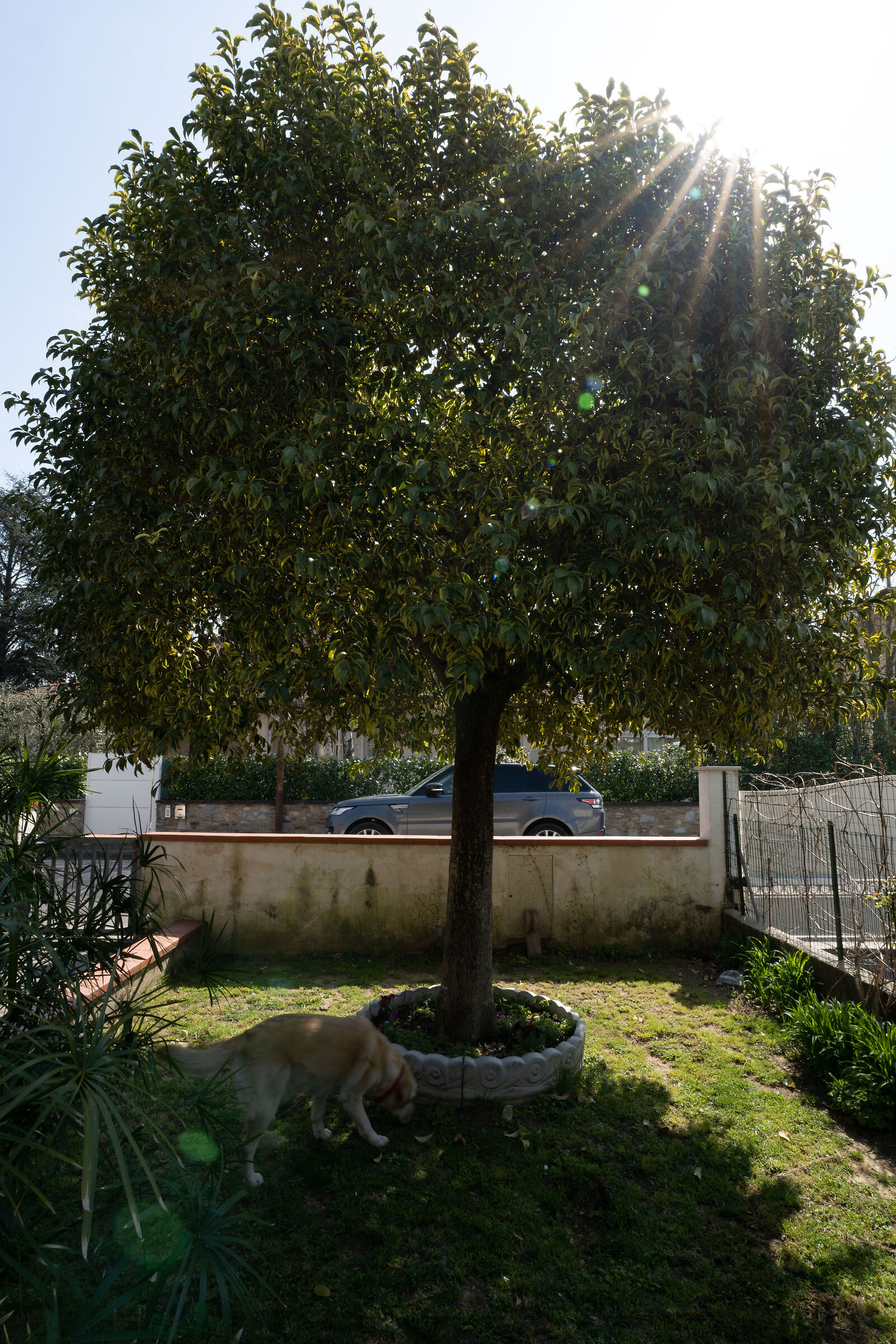 Sony 20mm f1.8 G - sel20f18g - F22