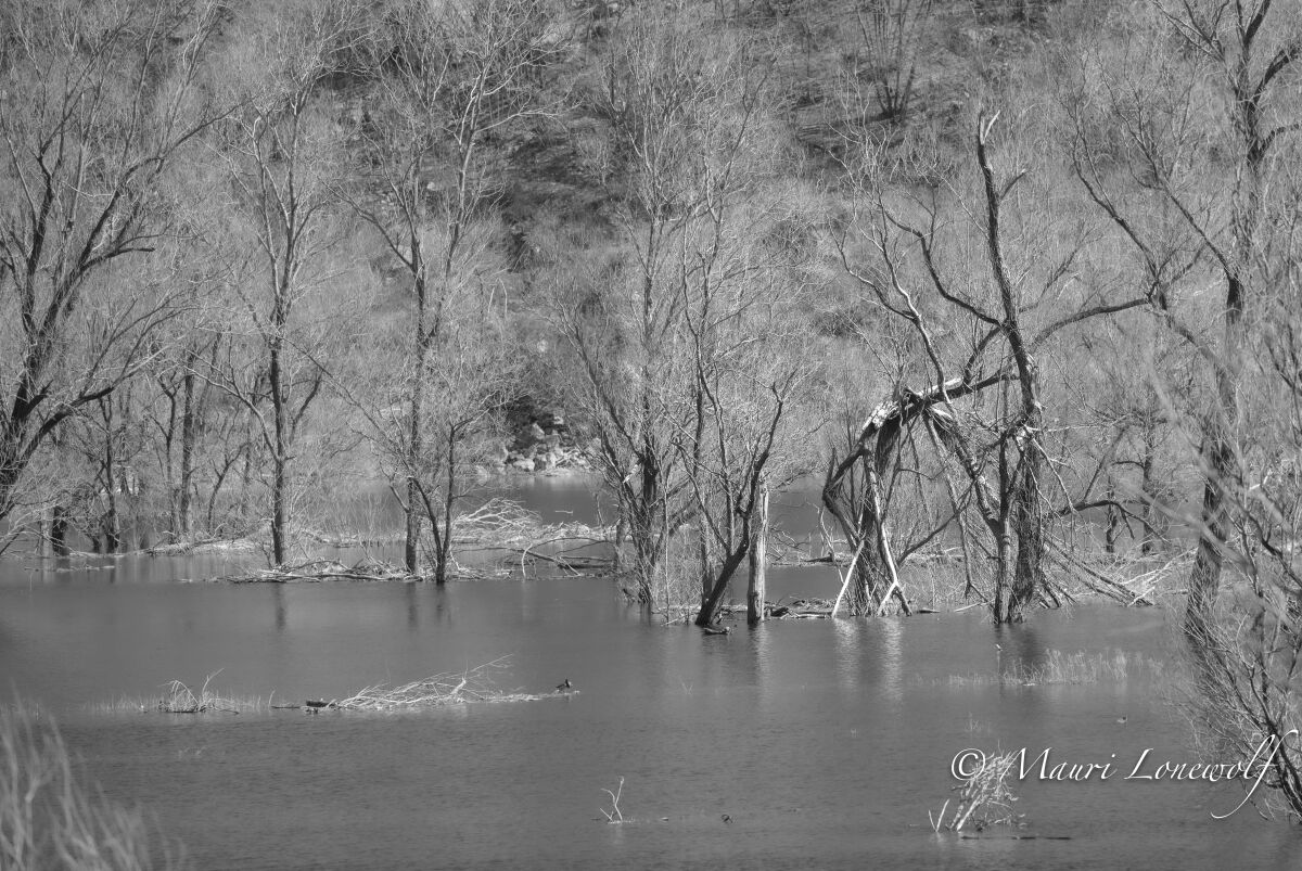 lago di Loppio