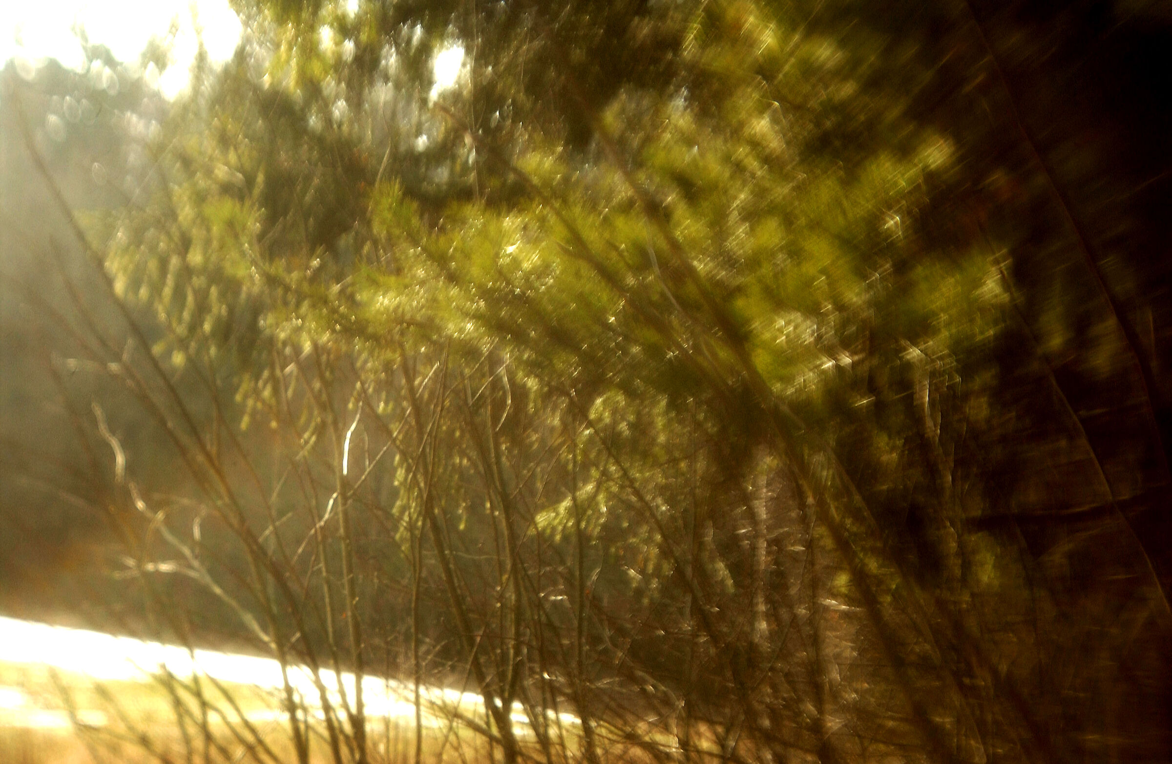 The first days of spring