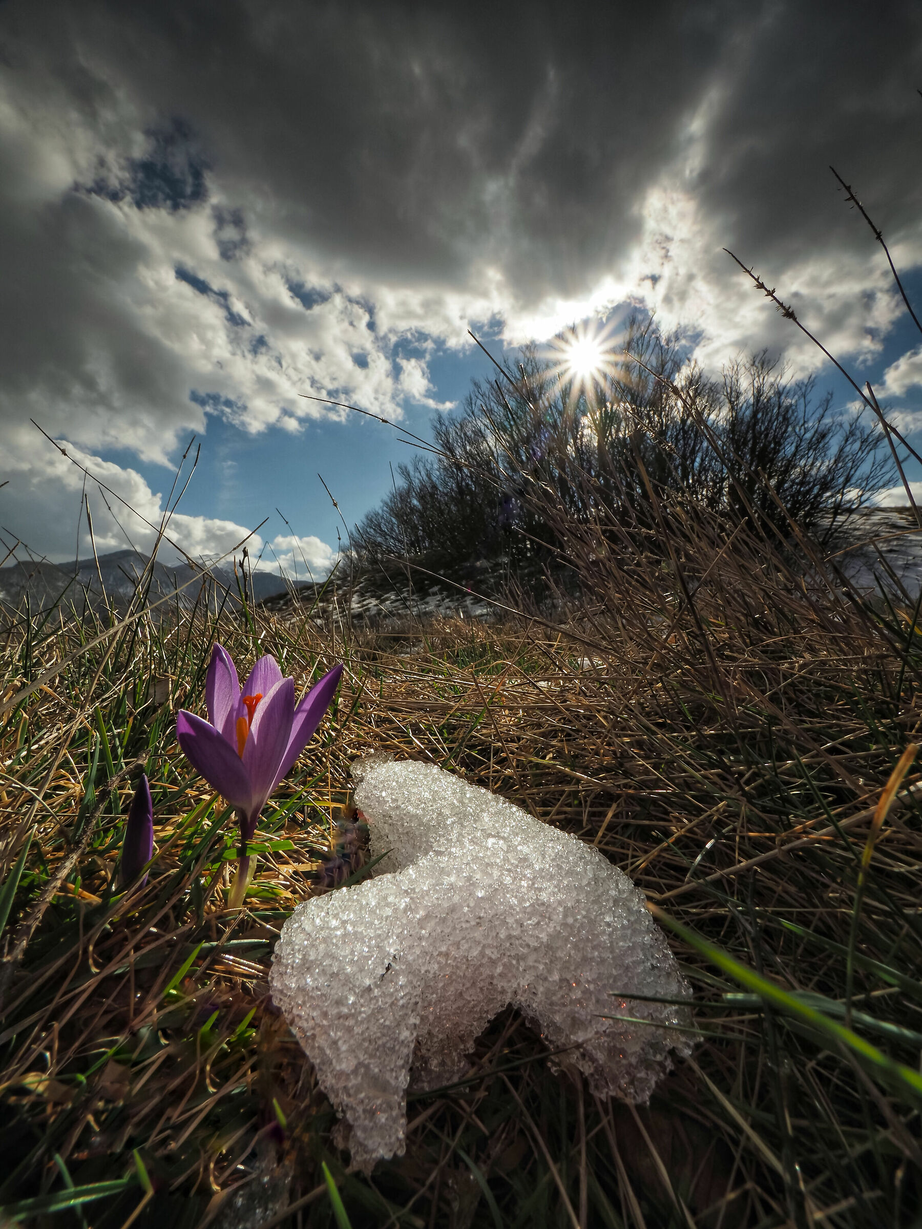 Il ciclo della natura