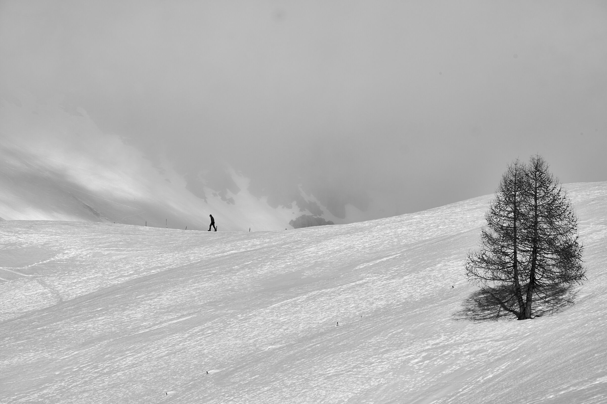 Towards the Unknown