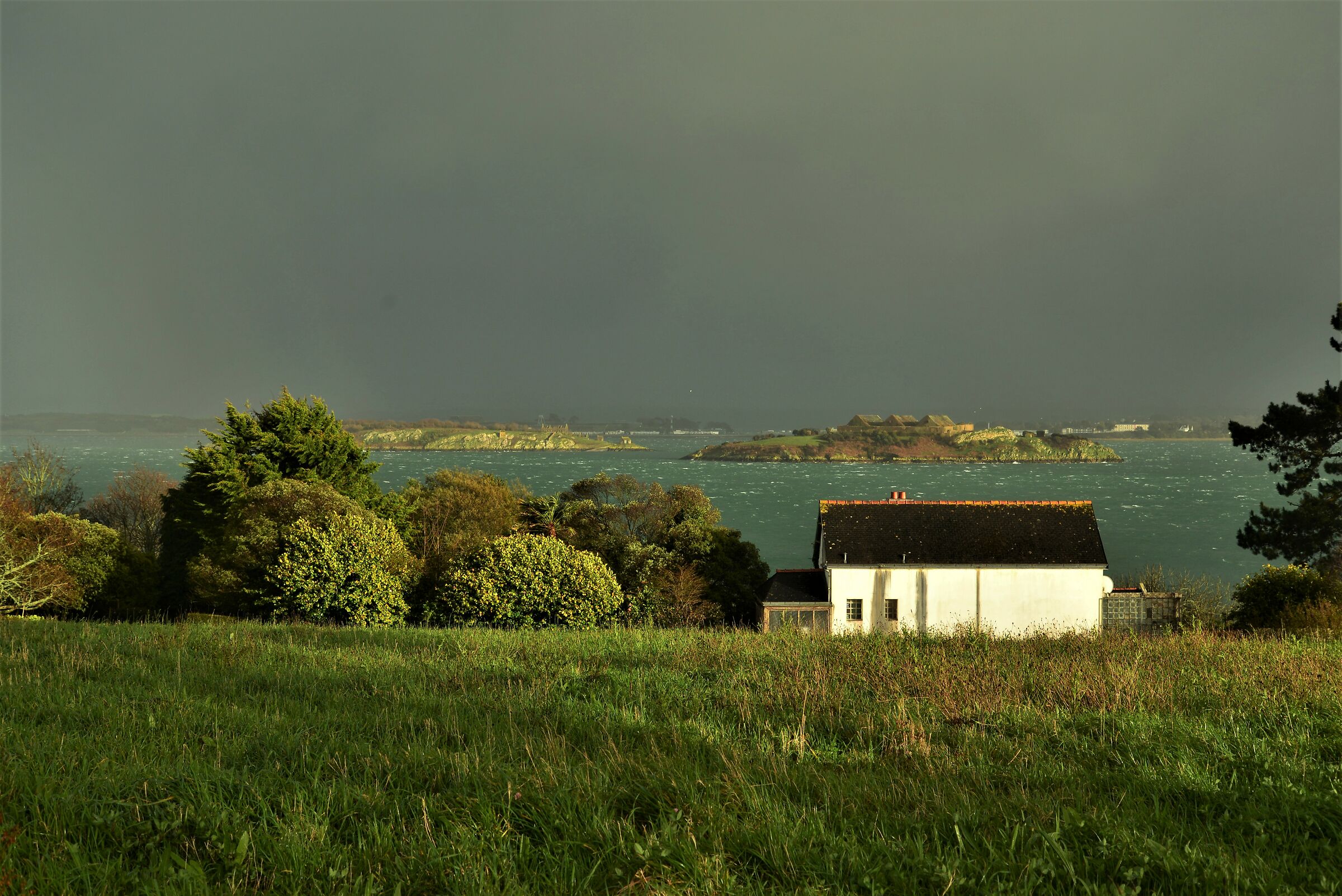 Oppressione surrealista