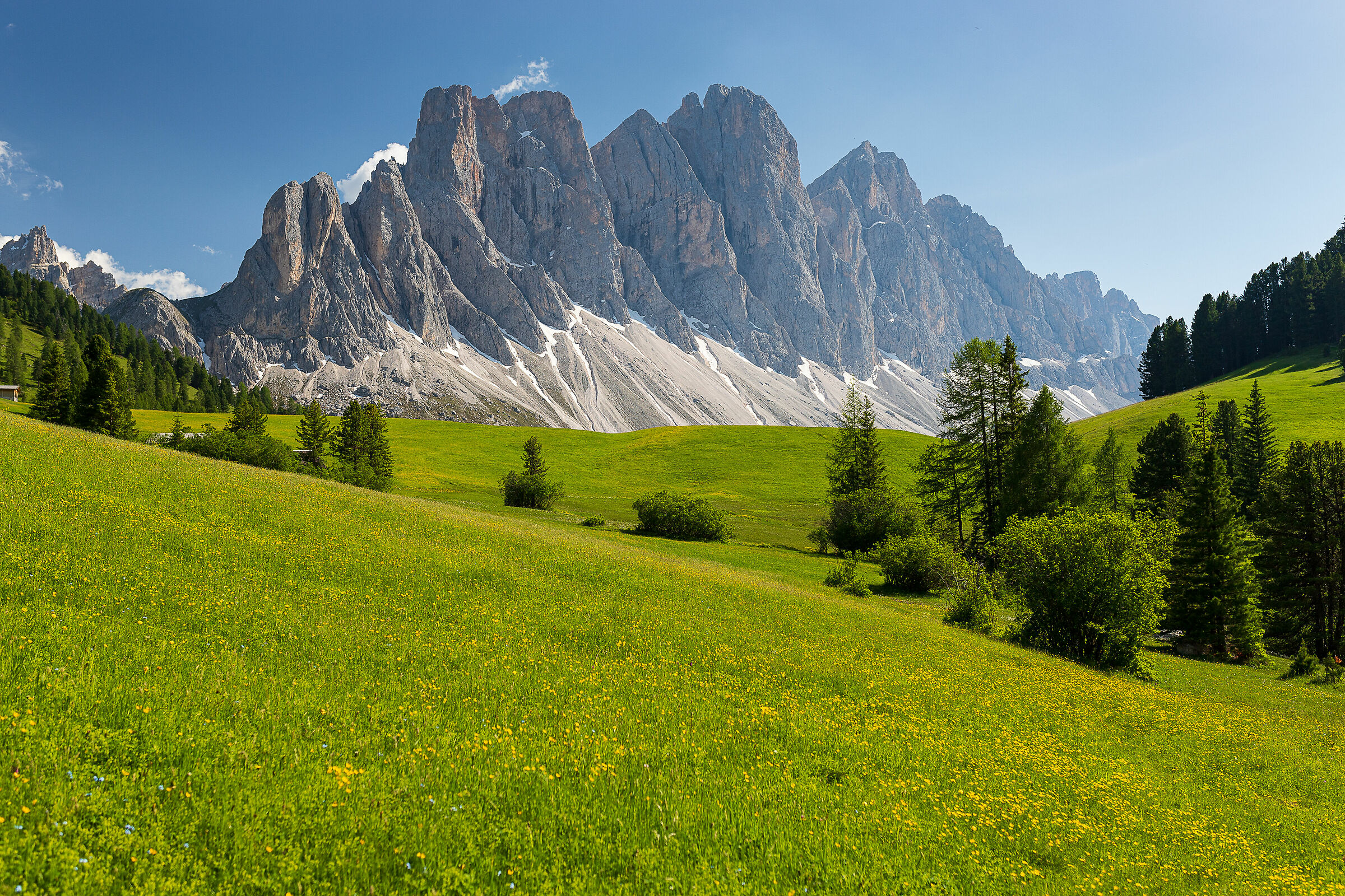 The meadows of the Odle