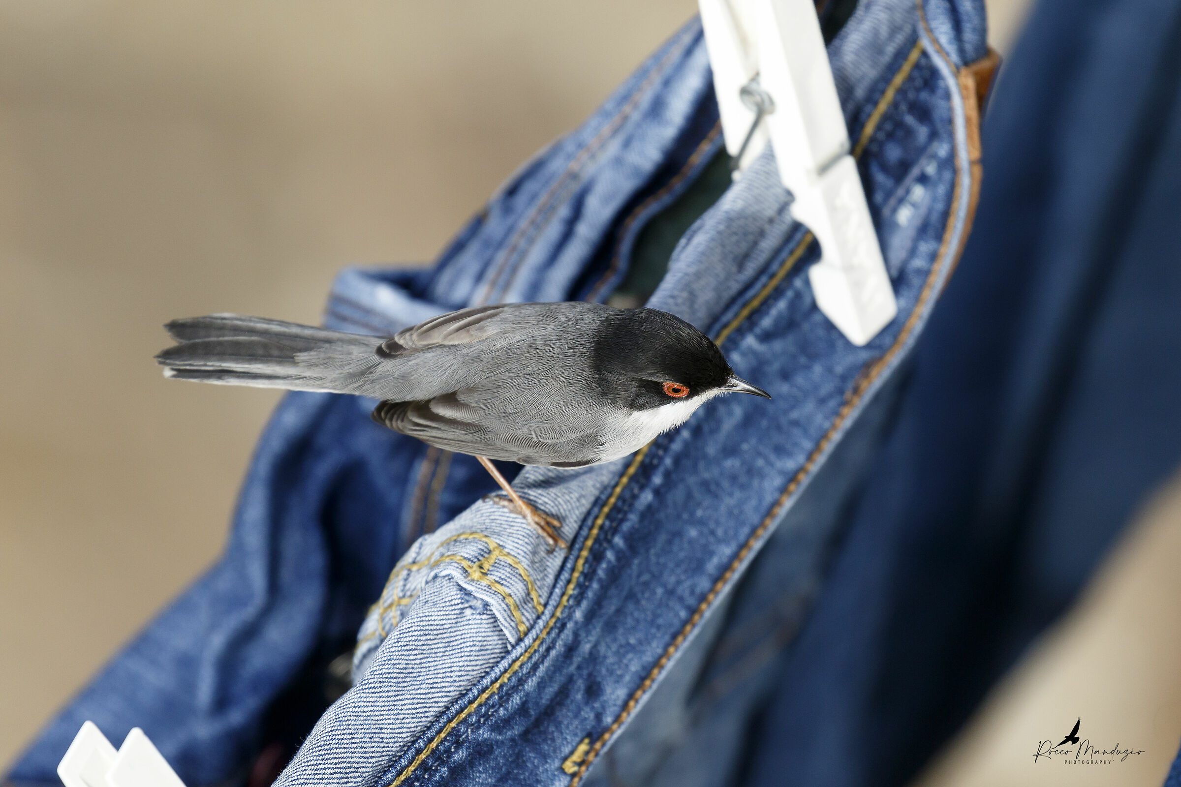 You don't leave the house and they come to see you.......