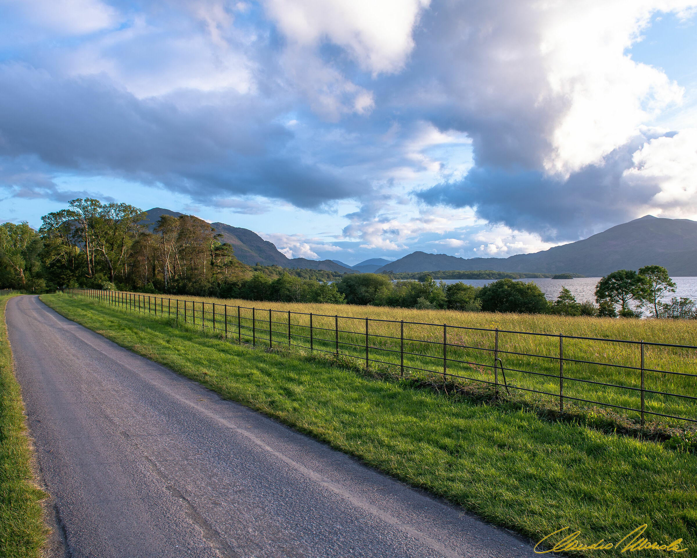 Road to Muckross Abbey