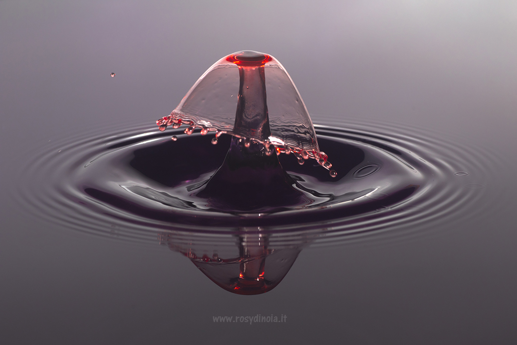 Drop Photography