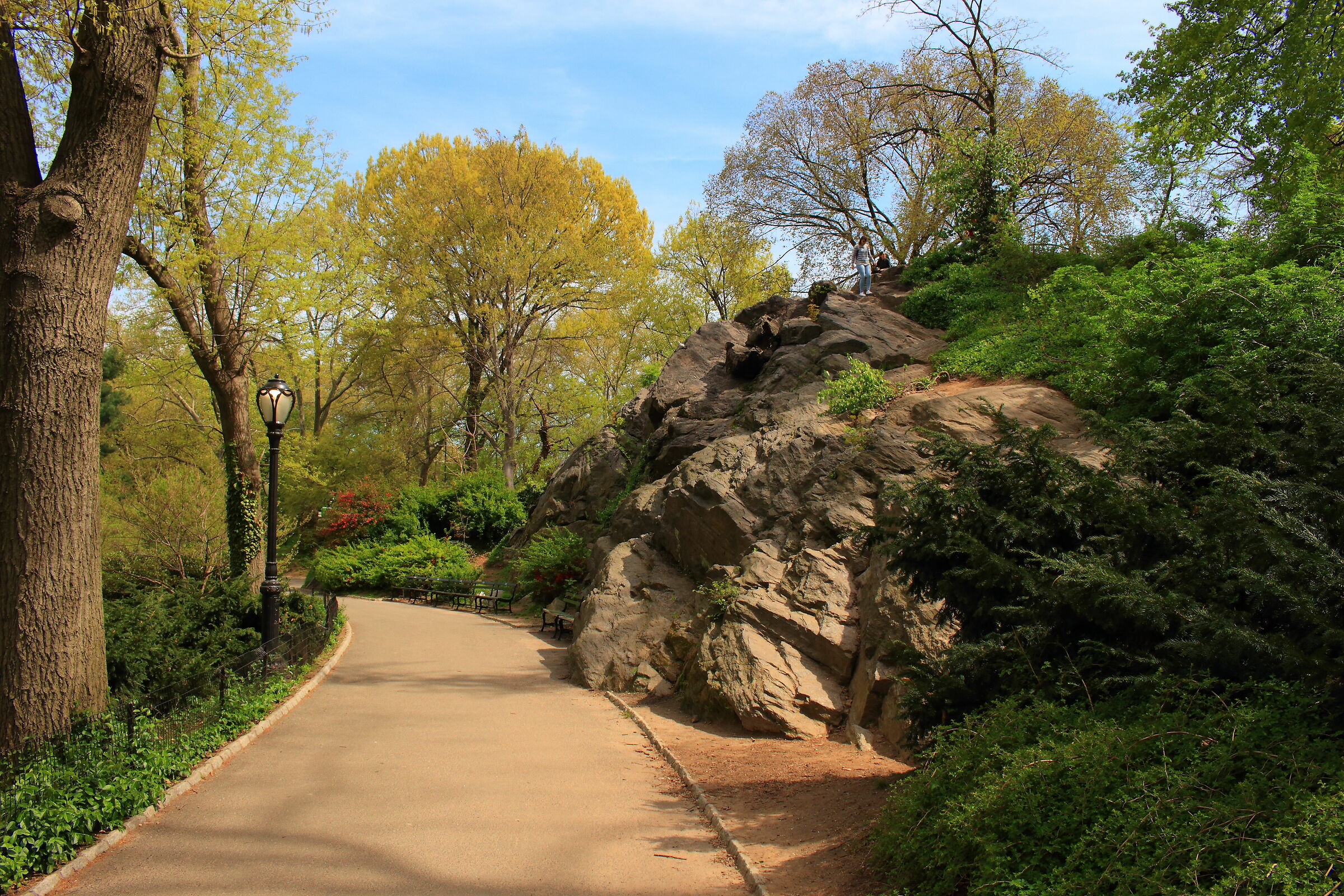 Central park New York
