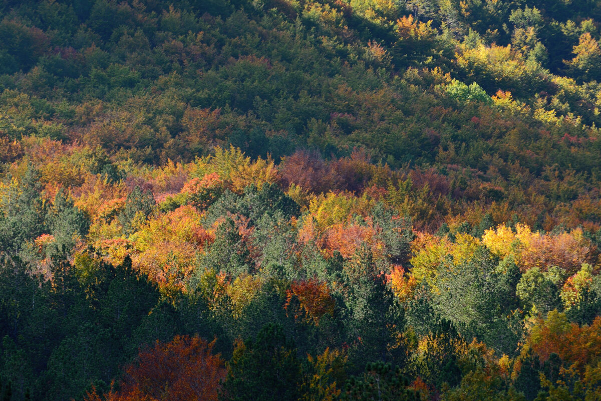 Autunno - Abruzzo 20191020