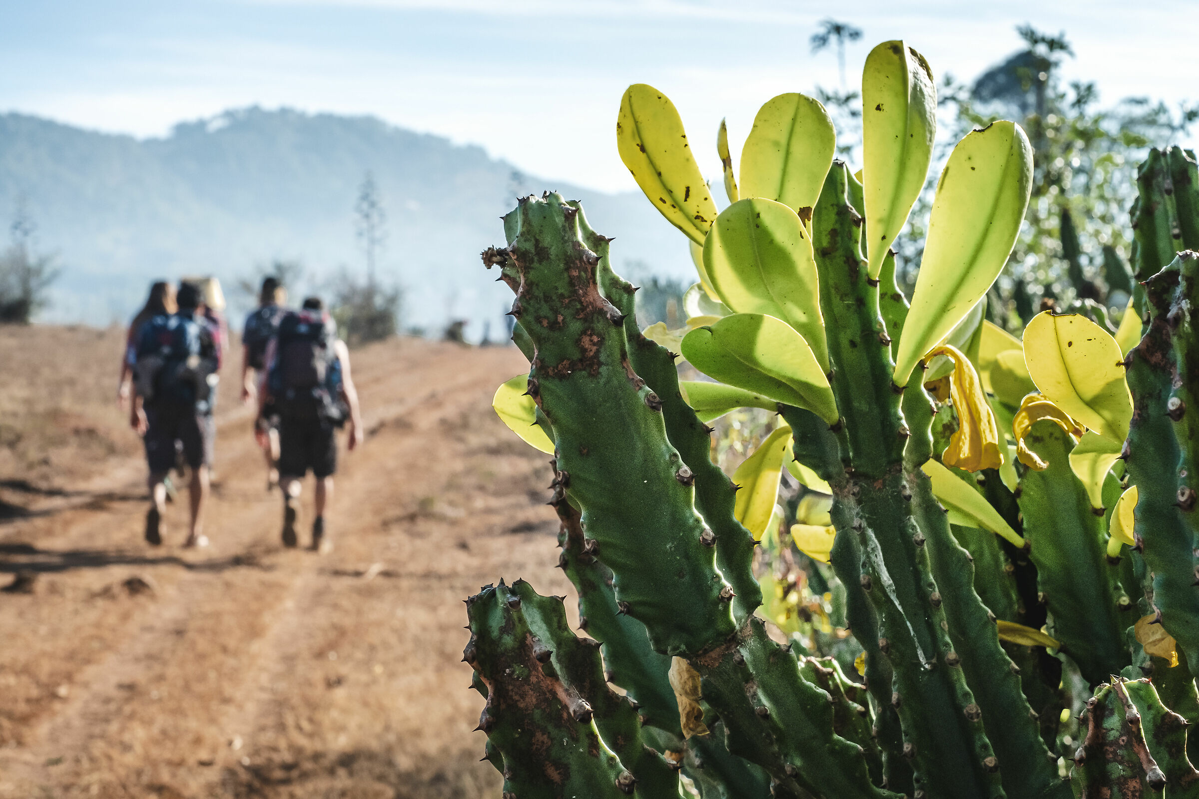 trekking da kalaw al lago Inle