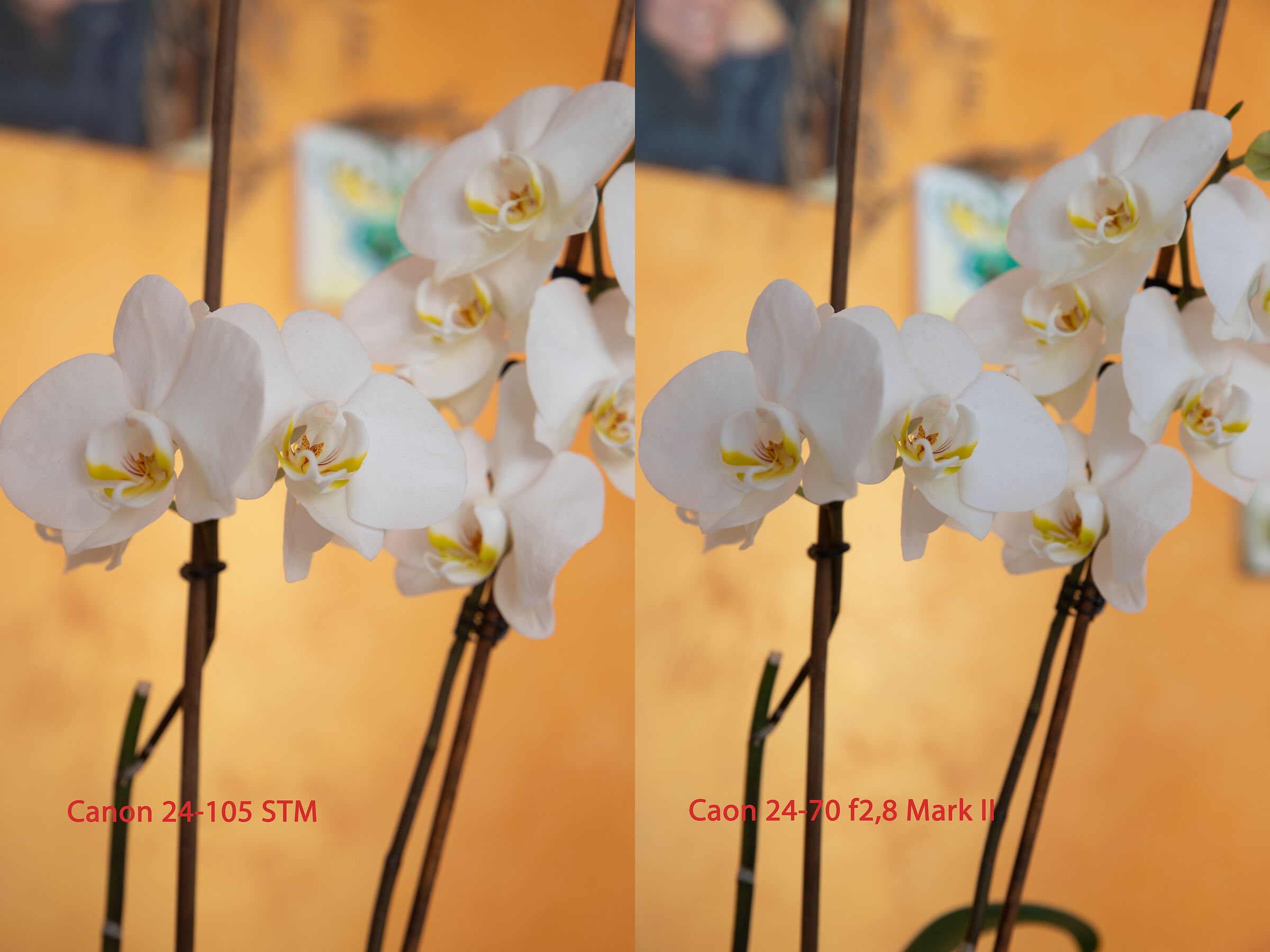 Canon 24-108 vs 24-70