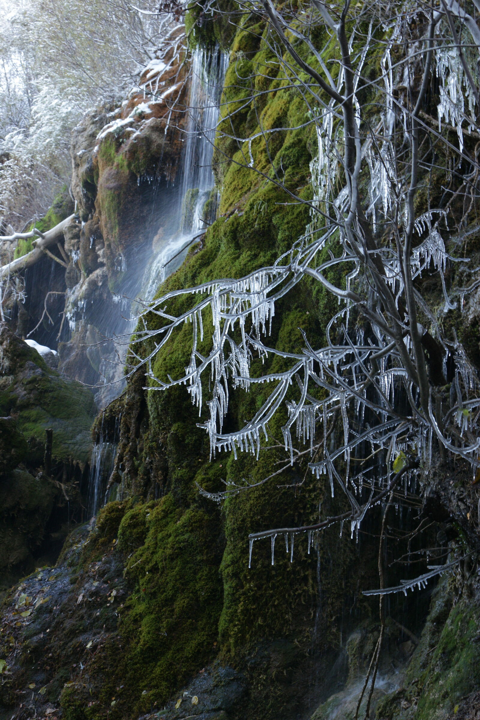 Nacimiento de rìo Cuervo