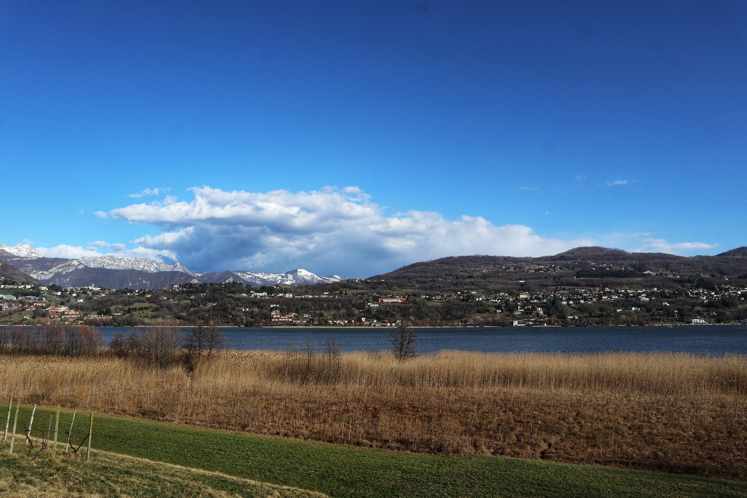 Lago di Alsero 2020 (2)