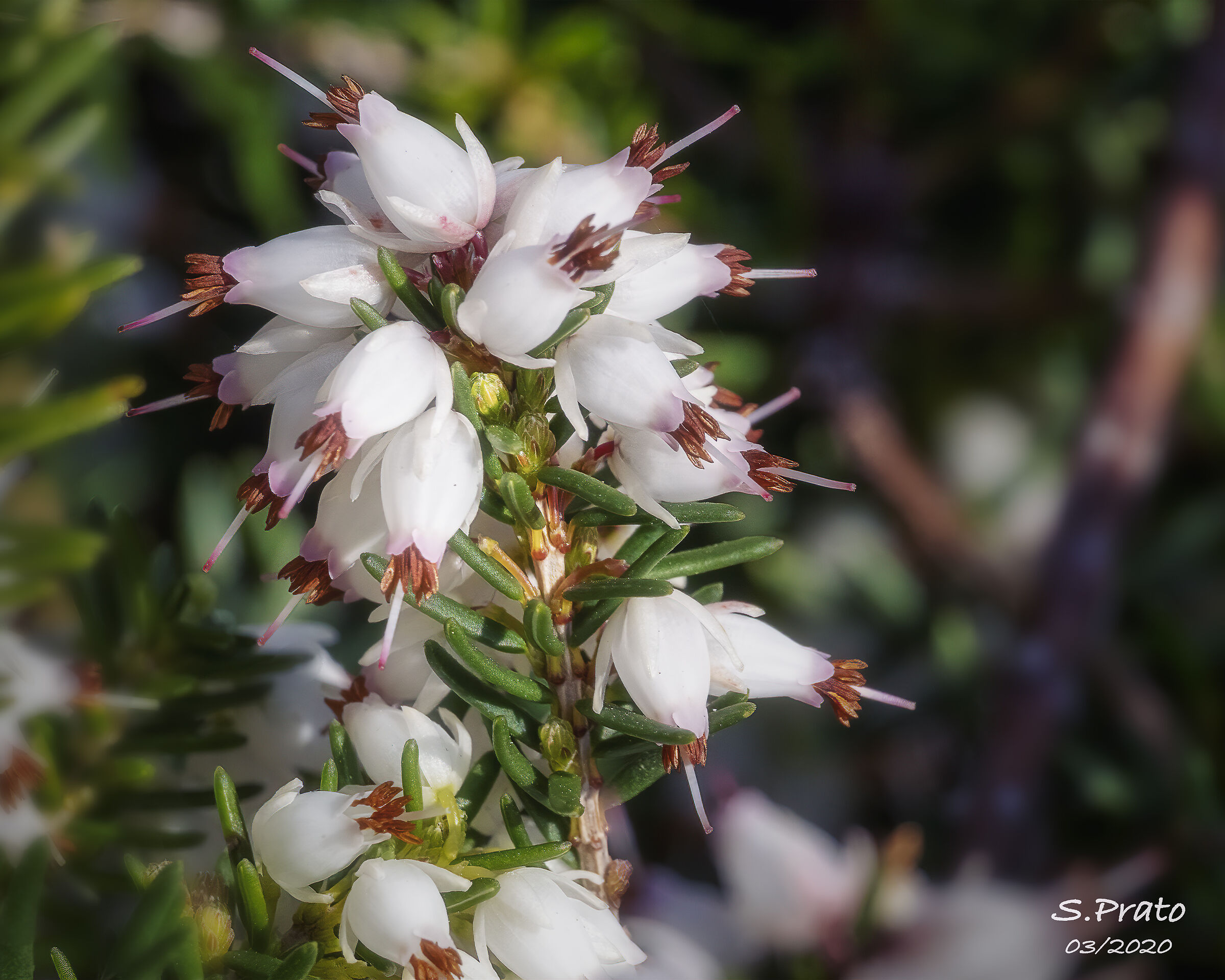 Spring hints
