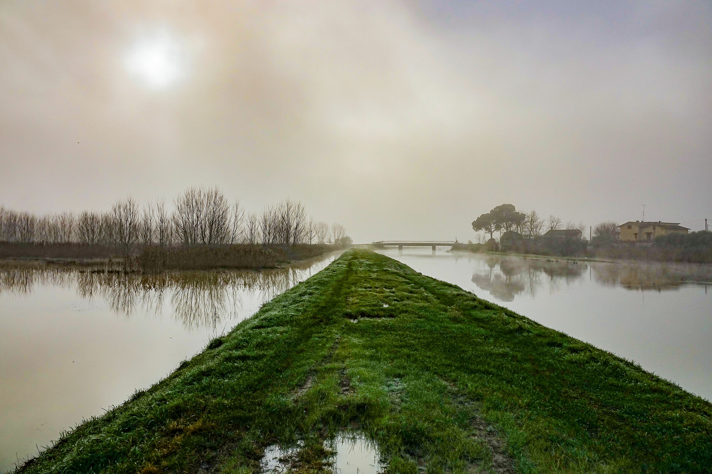 Morning at the end of the fog
