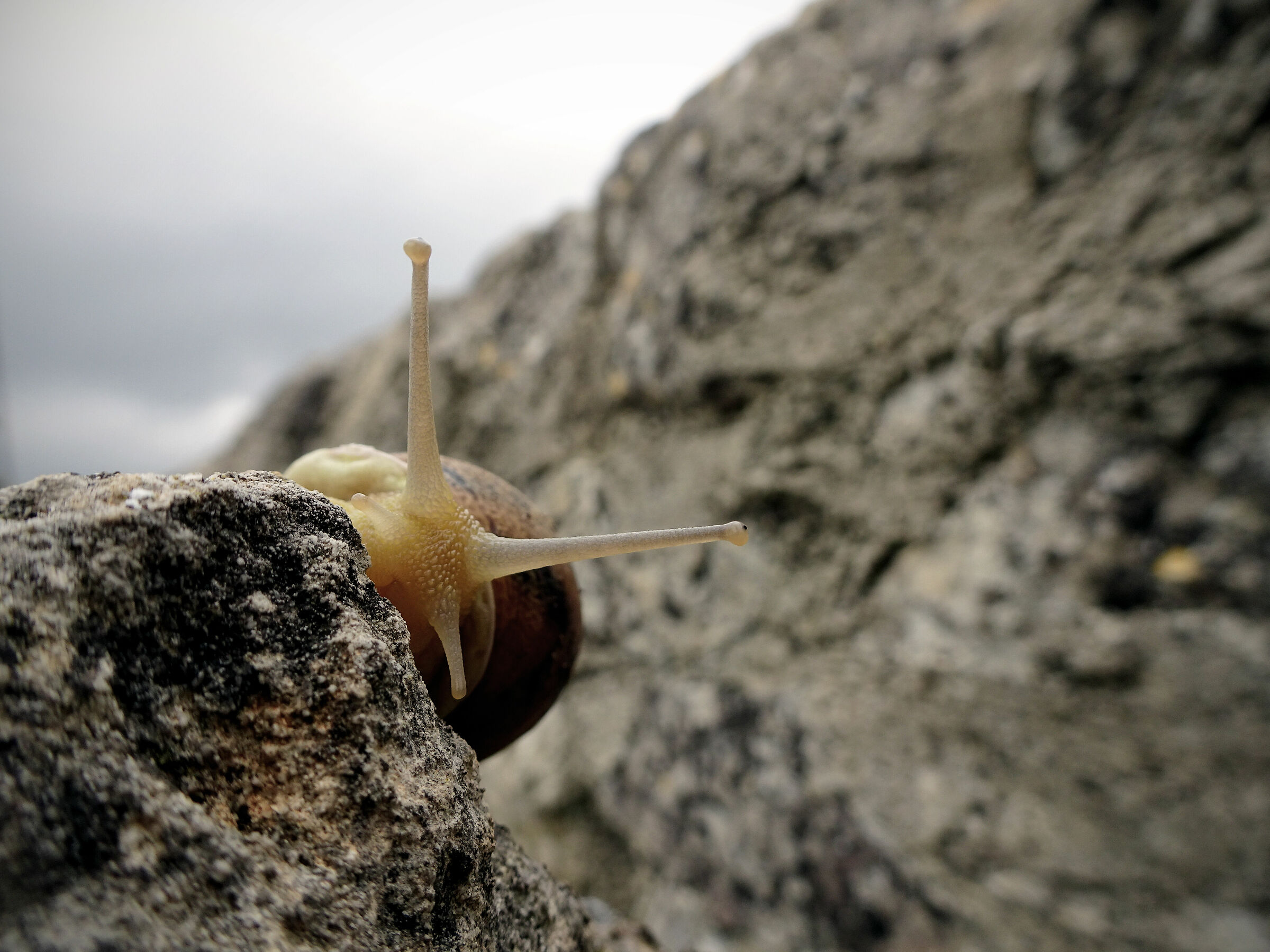 fammi dare un'occhiata