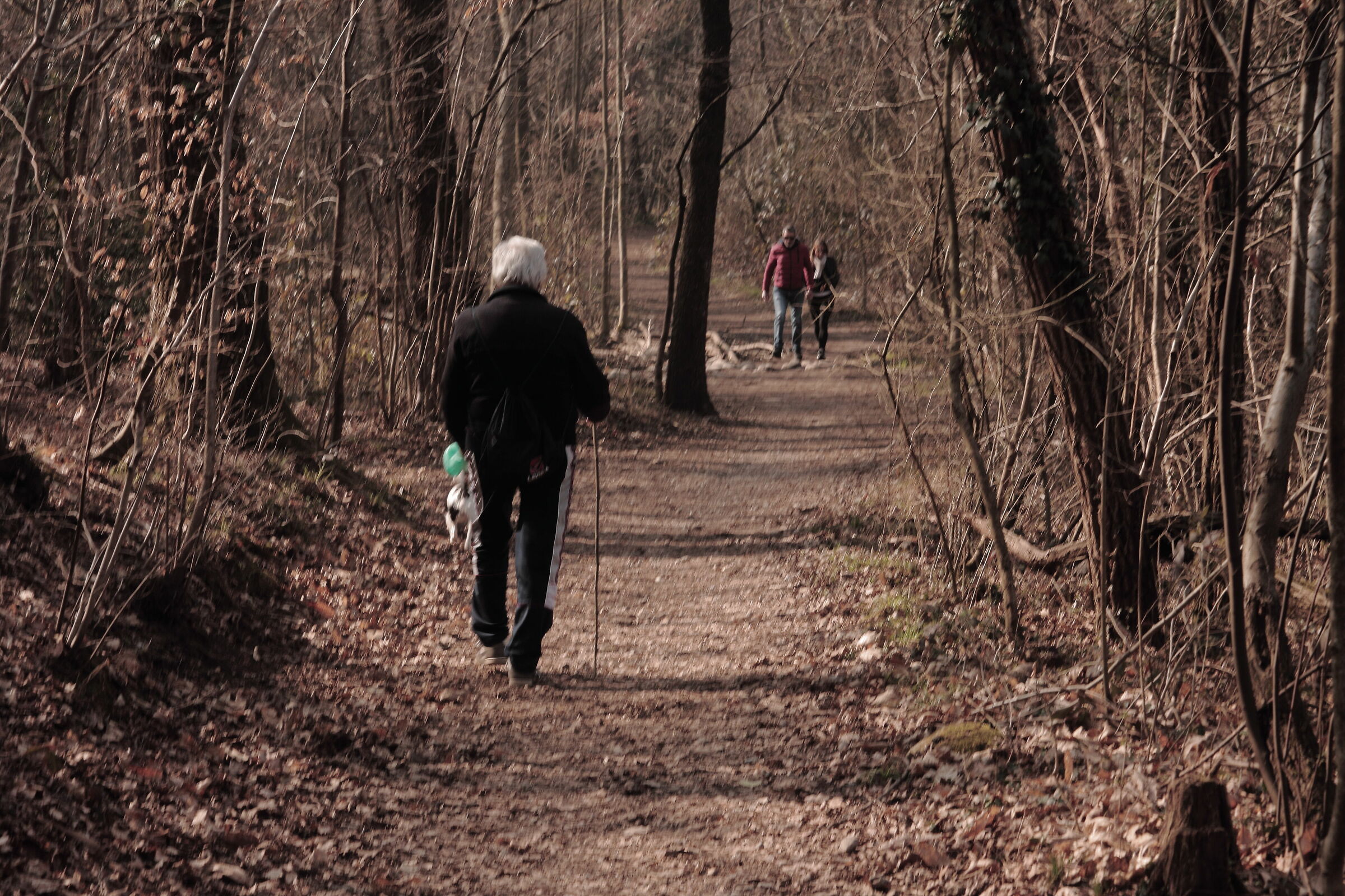 loneliness & company