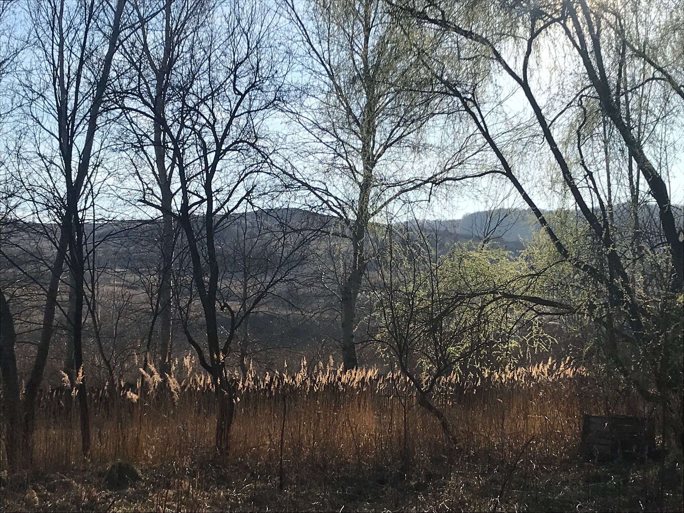 lunca frumoasa - buzau