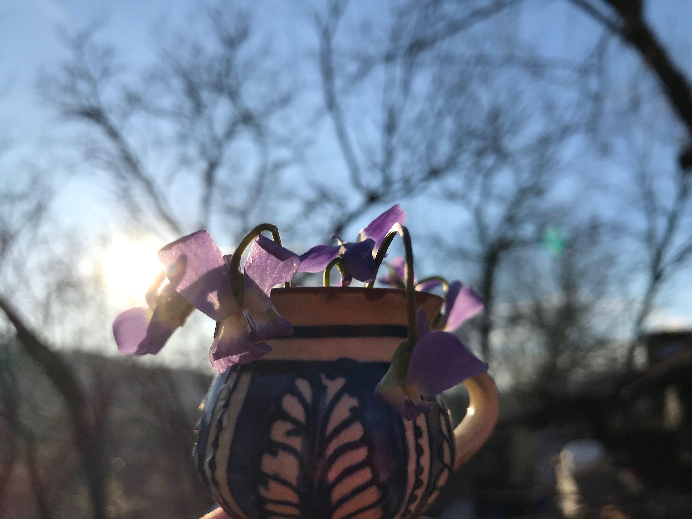 lunca frumoasa - buzau