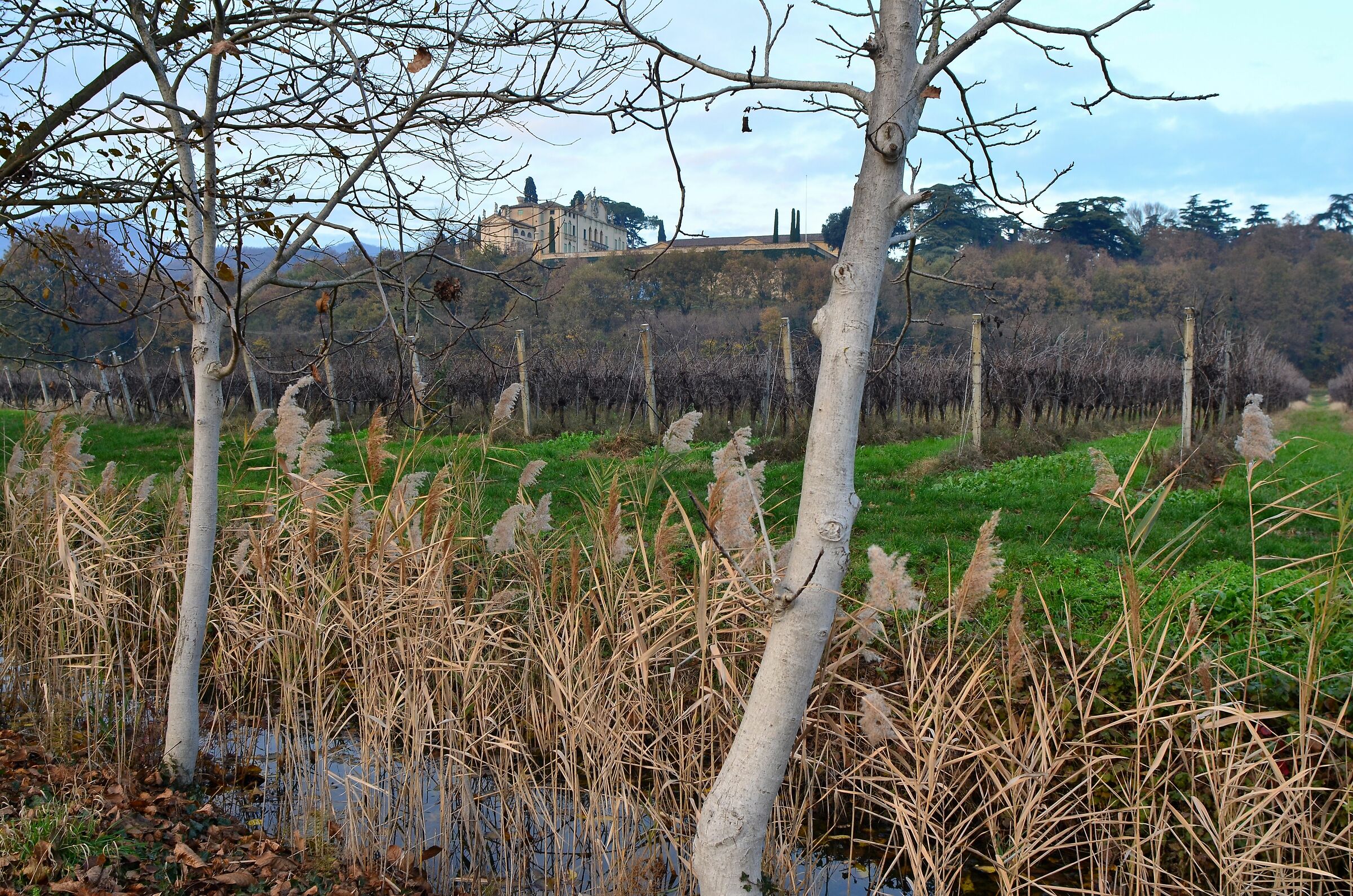 I padroni del vigneto