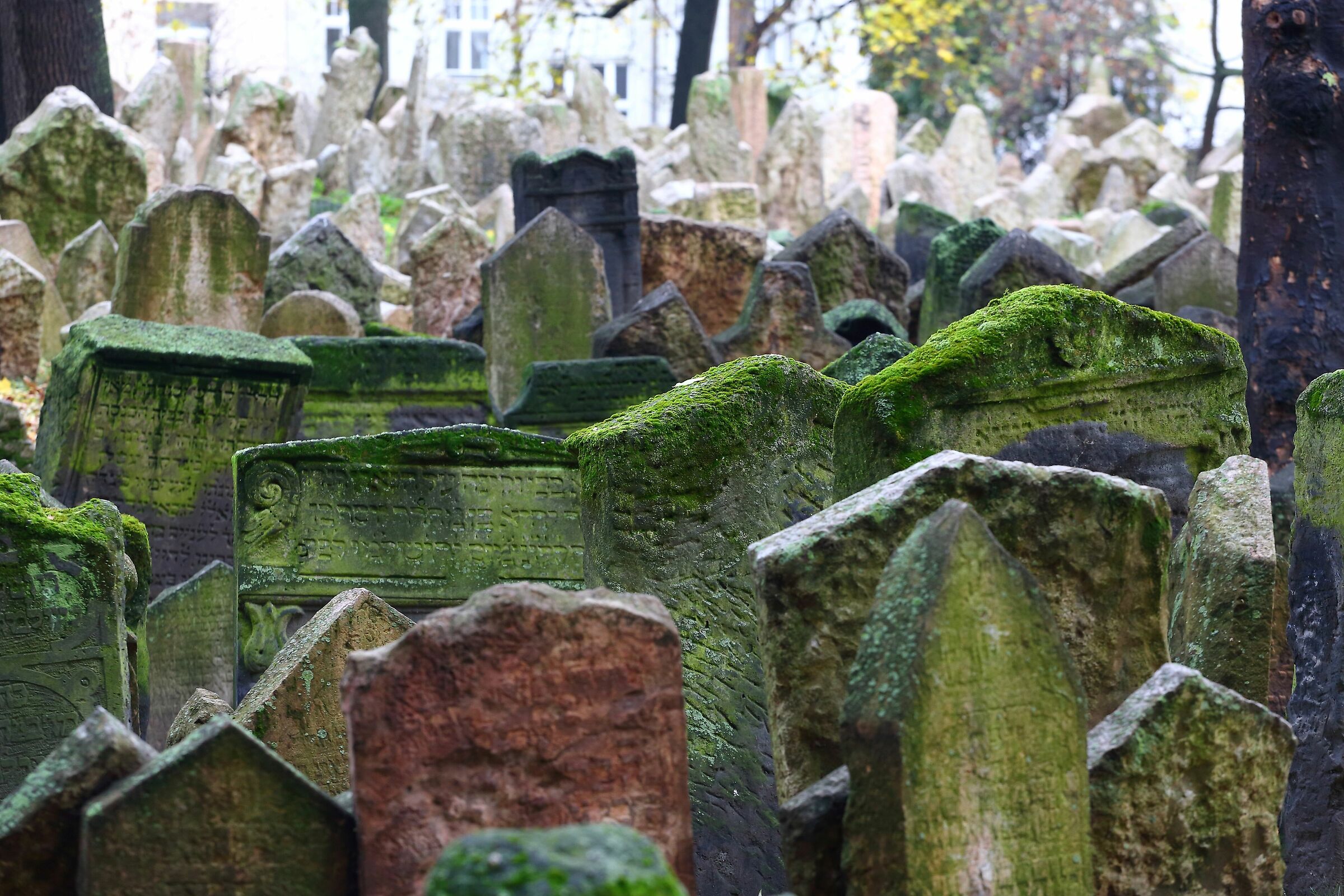 Jewish Cemetery