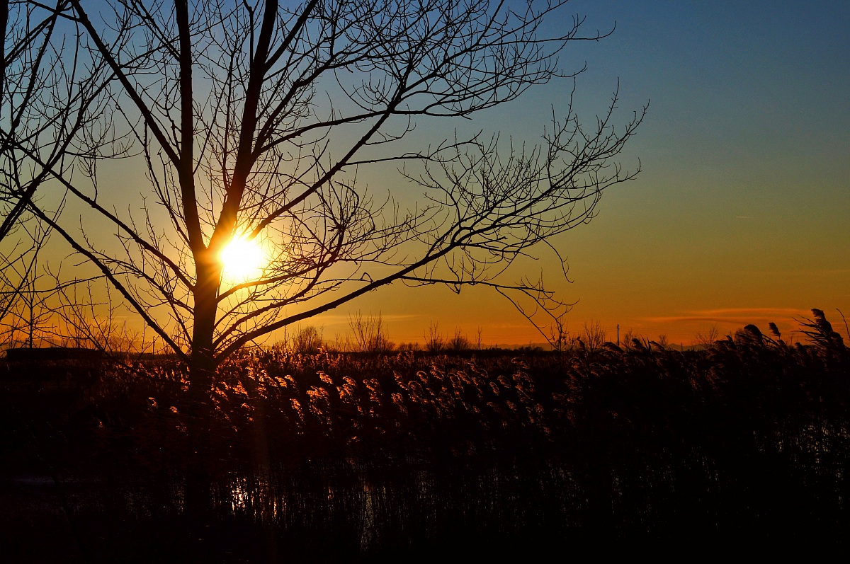 Campagna abbandonata...