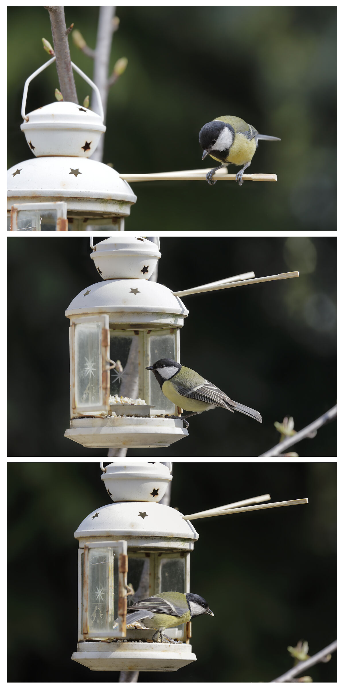 Arrivo,acchiappo e... viaaaa