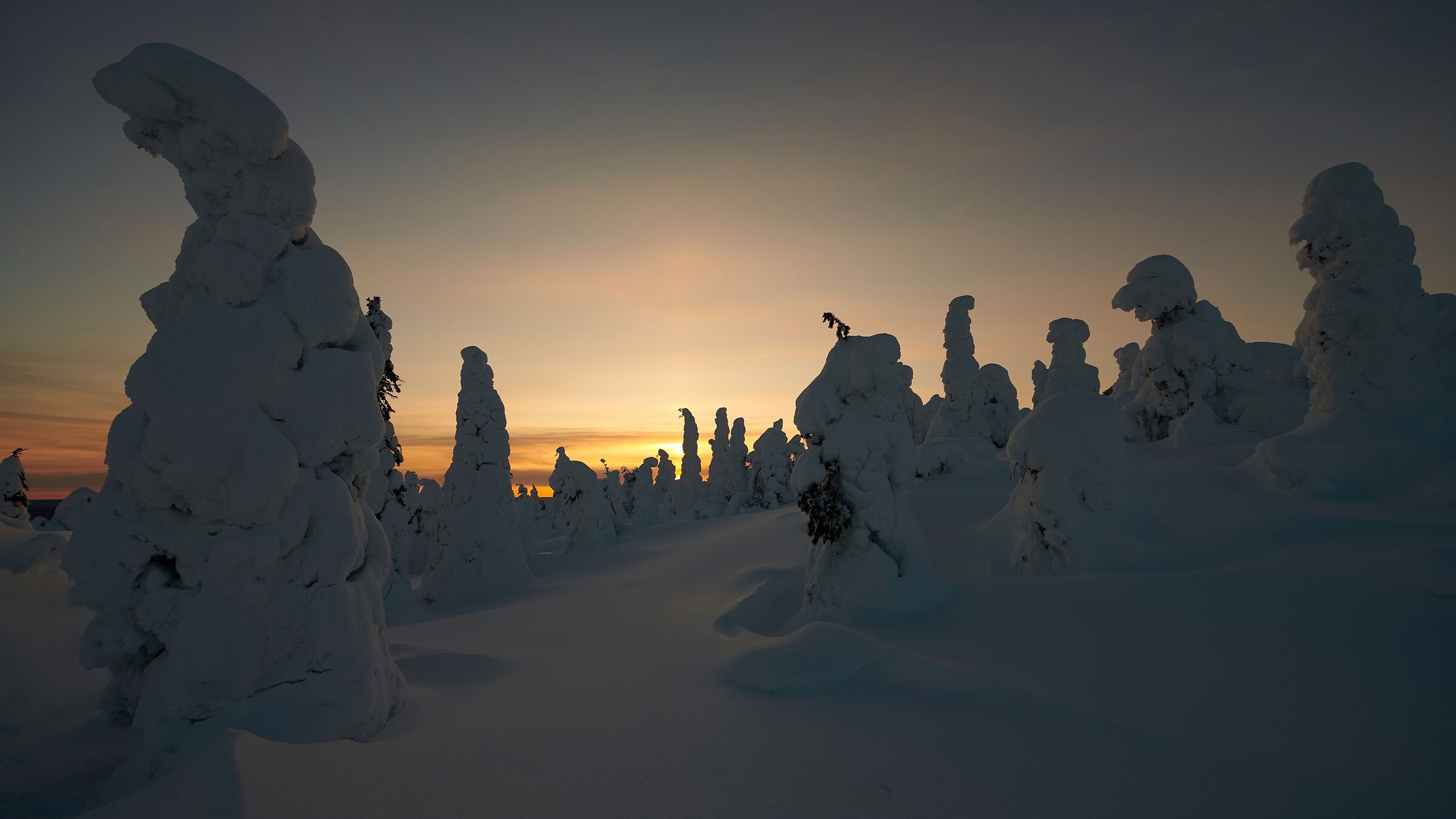 Tykky (Riisitunturi National Park - Finnish Lapland