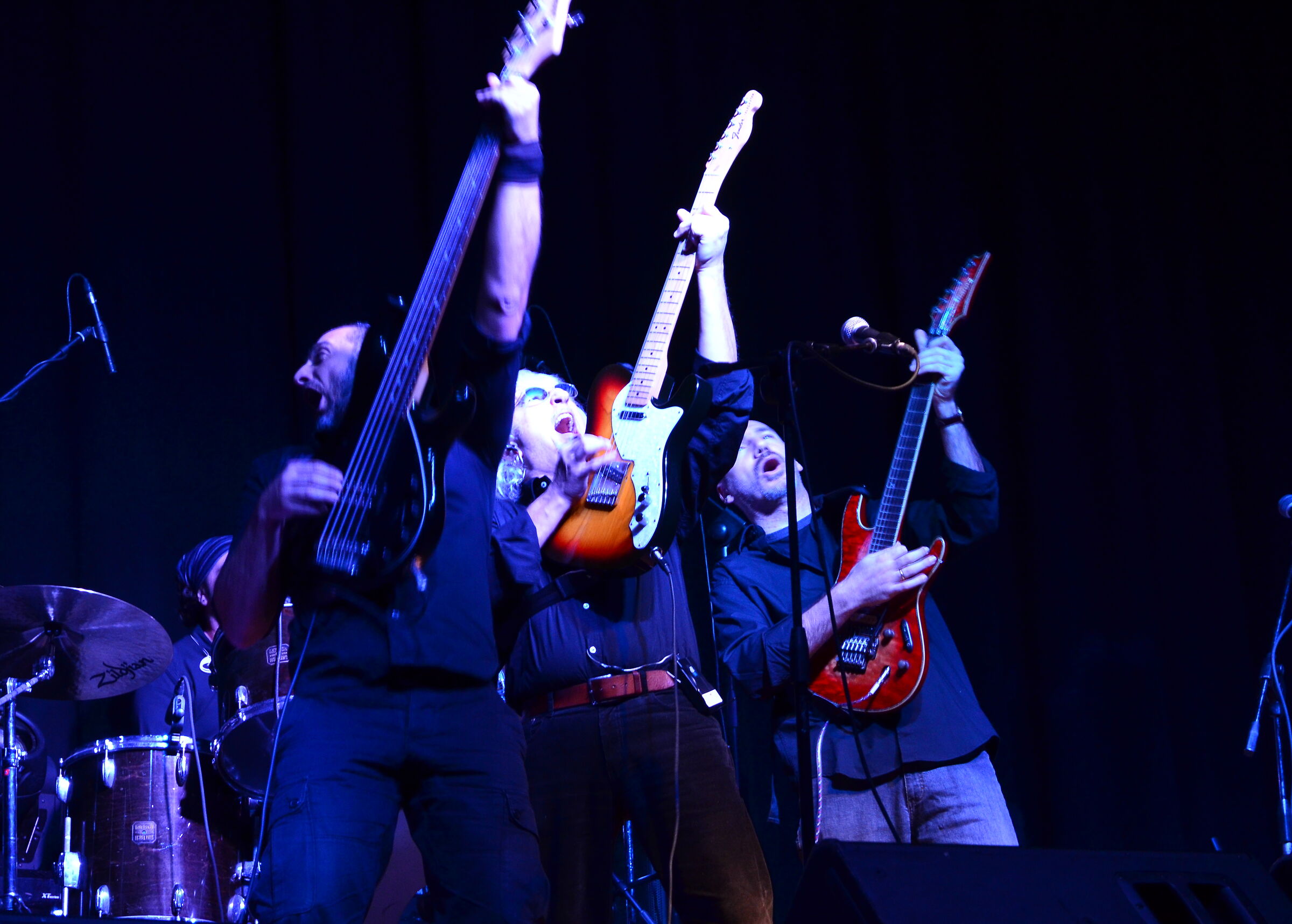 New Trolls, New York